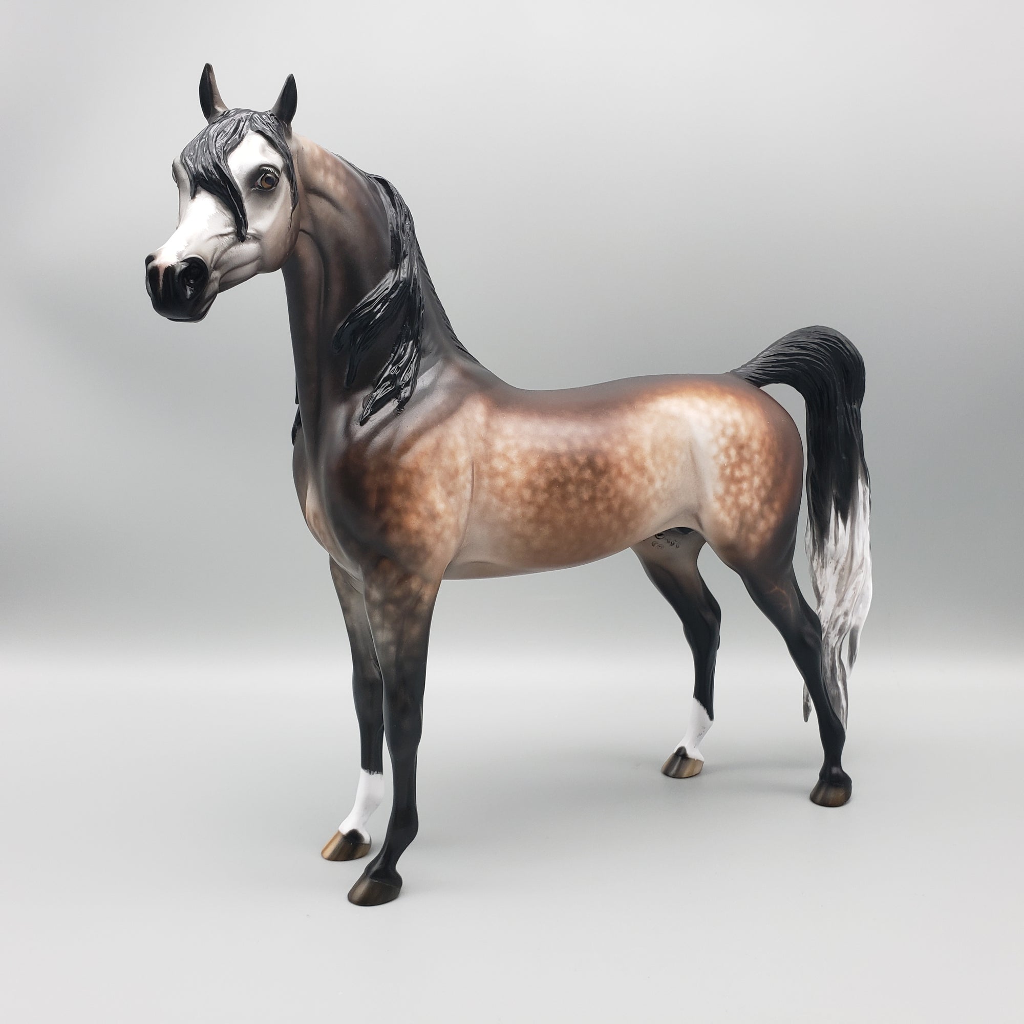 Sumptuous OOAK Dappled Bay going Gray Arabian By Sheryl Leisure Best Offers 1/29/24