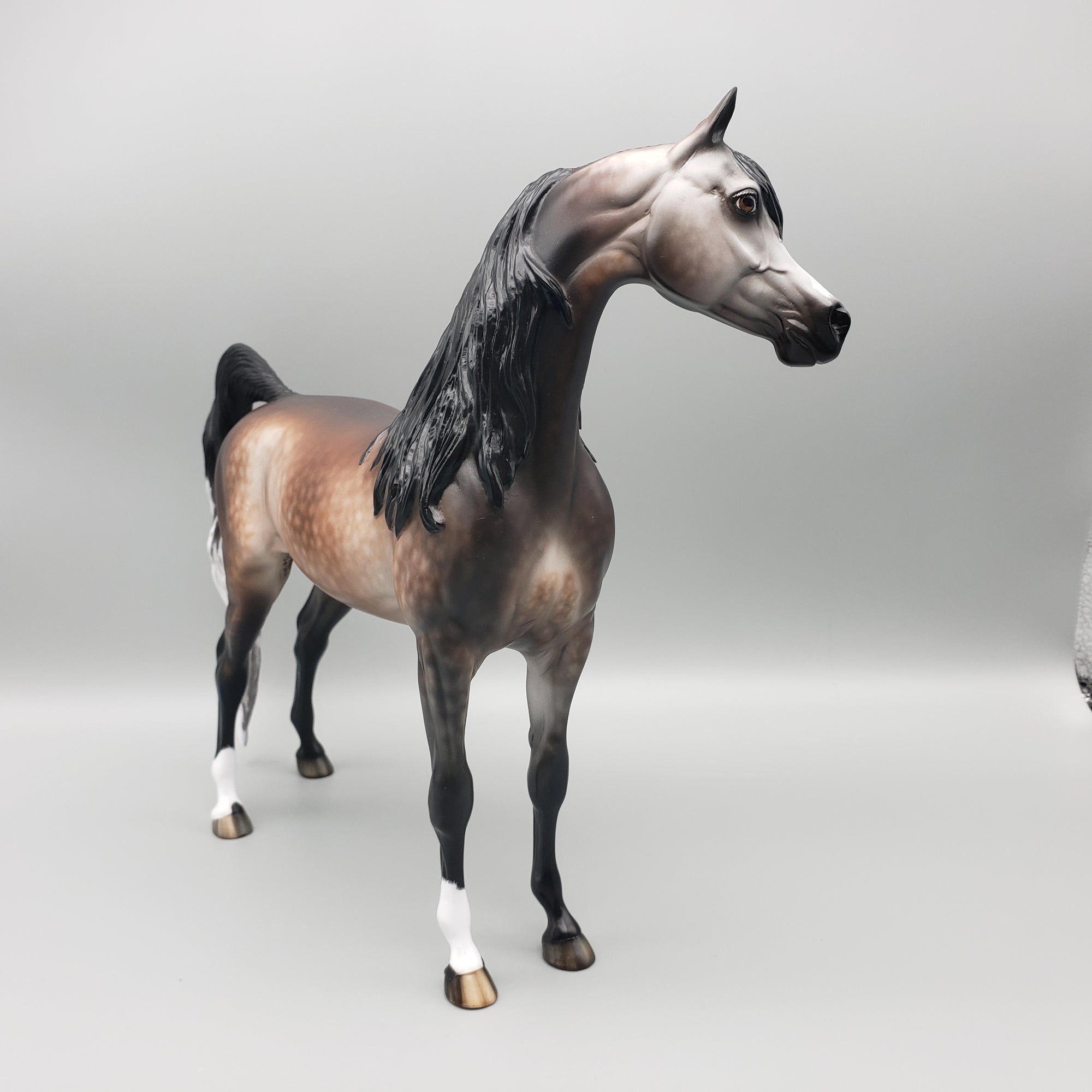 Sumptuous OOAK Dappled Bay going Gray Arabian By Sheryl Leisure Best Offers 1/29/24