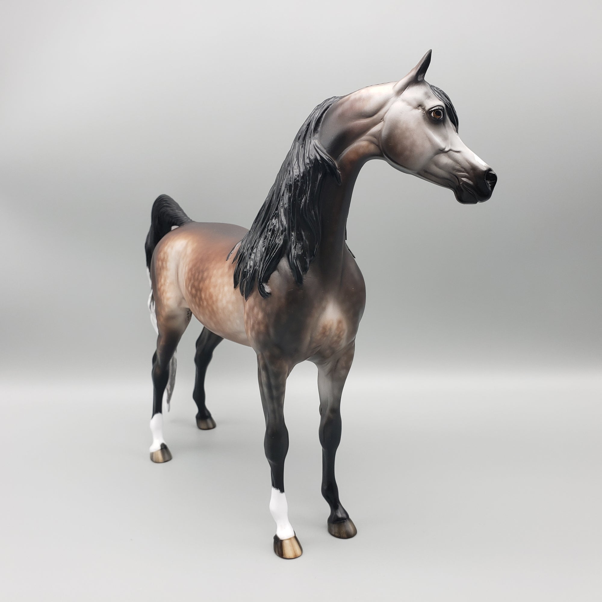 Sumptuous OOAK Dappled Bay going Gray Arabian By Sheryl Leisure Best Offers 1/29/24