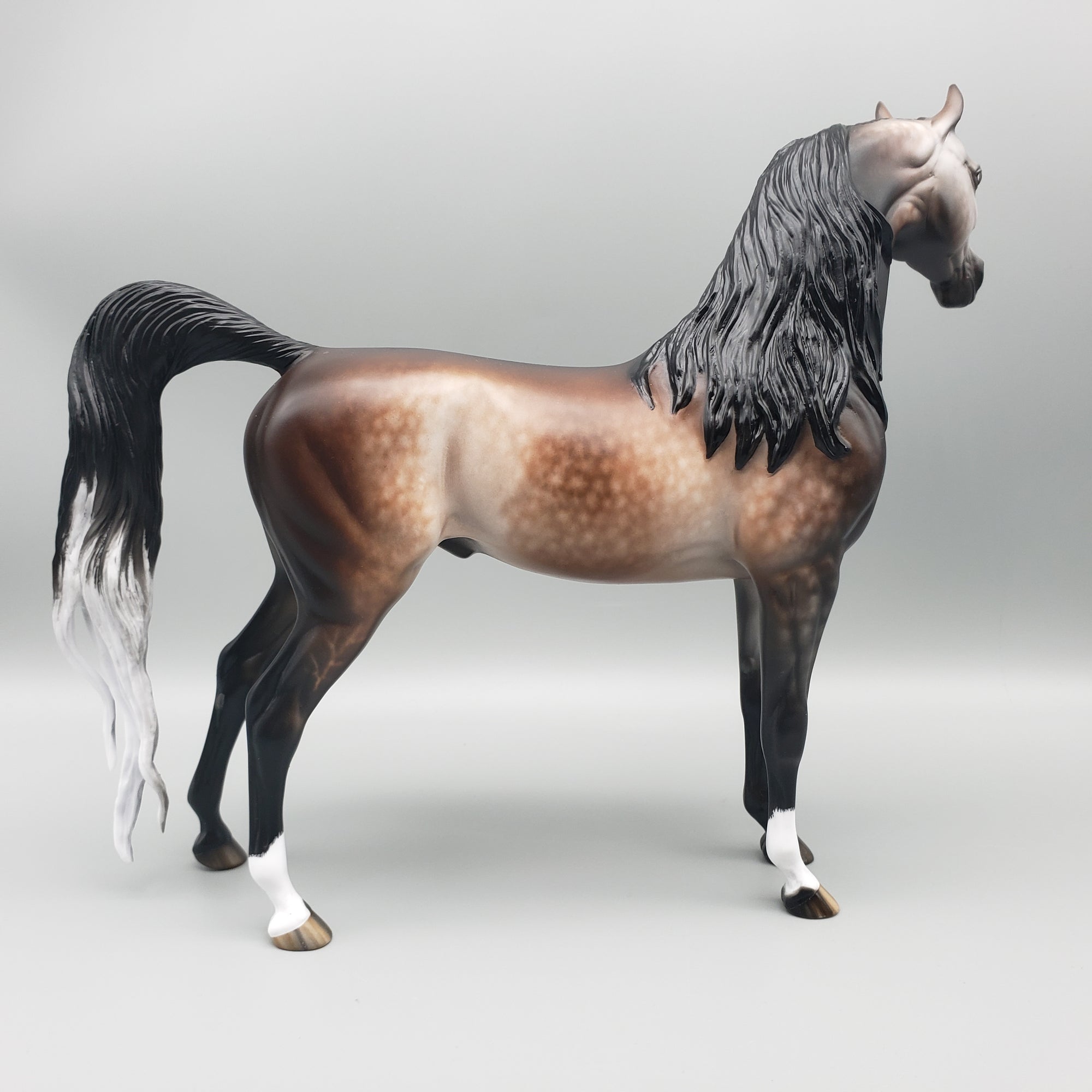 Sumptuous OOAK Dappled Bay going Gray Arabian By Sheryl Leisure Best Offers 1/29/24