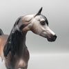 Sumptuous OOAK Dappled Bay going Gray Arabian By Sheryl Leisure Best Offers 1/29/24