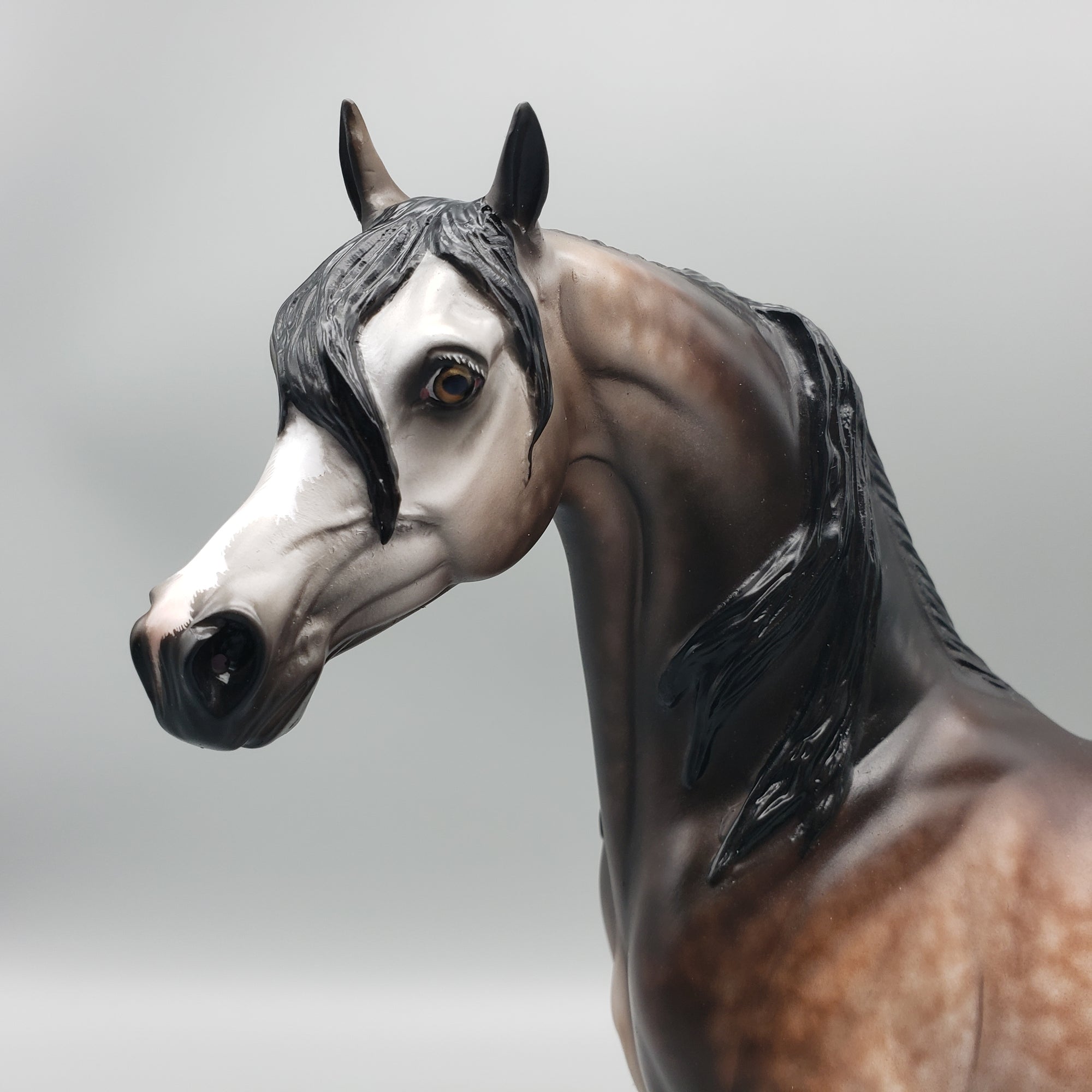 Sumptuous OOAK Dappled Bay going Gray Arabian By Sheryl Leisure Best Offers 1/29/24