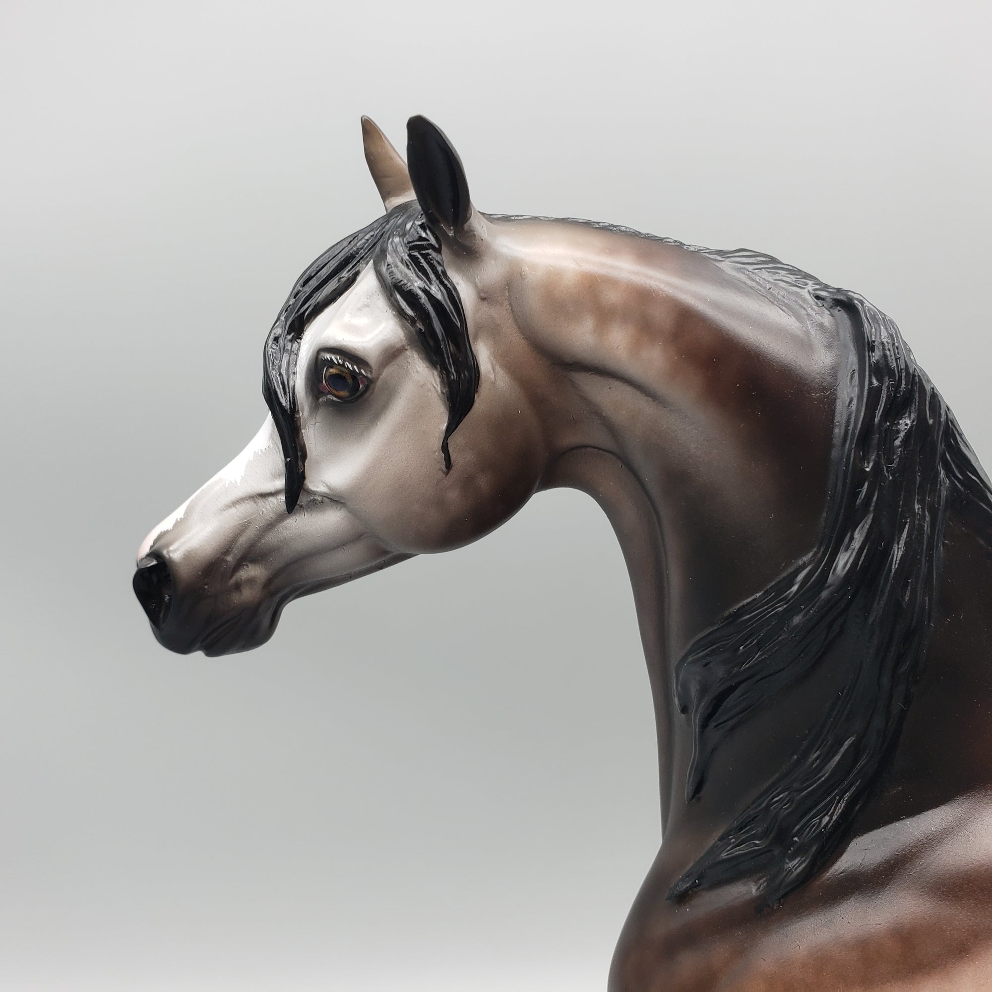 Sumptuous OOAK Dappled Bay going Gray Arabian By Sheryl Leisure Best Offers 1/29/24