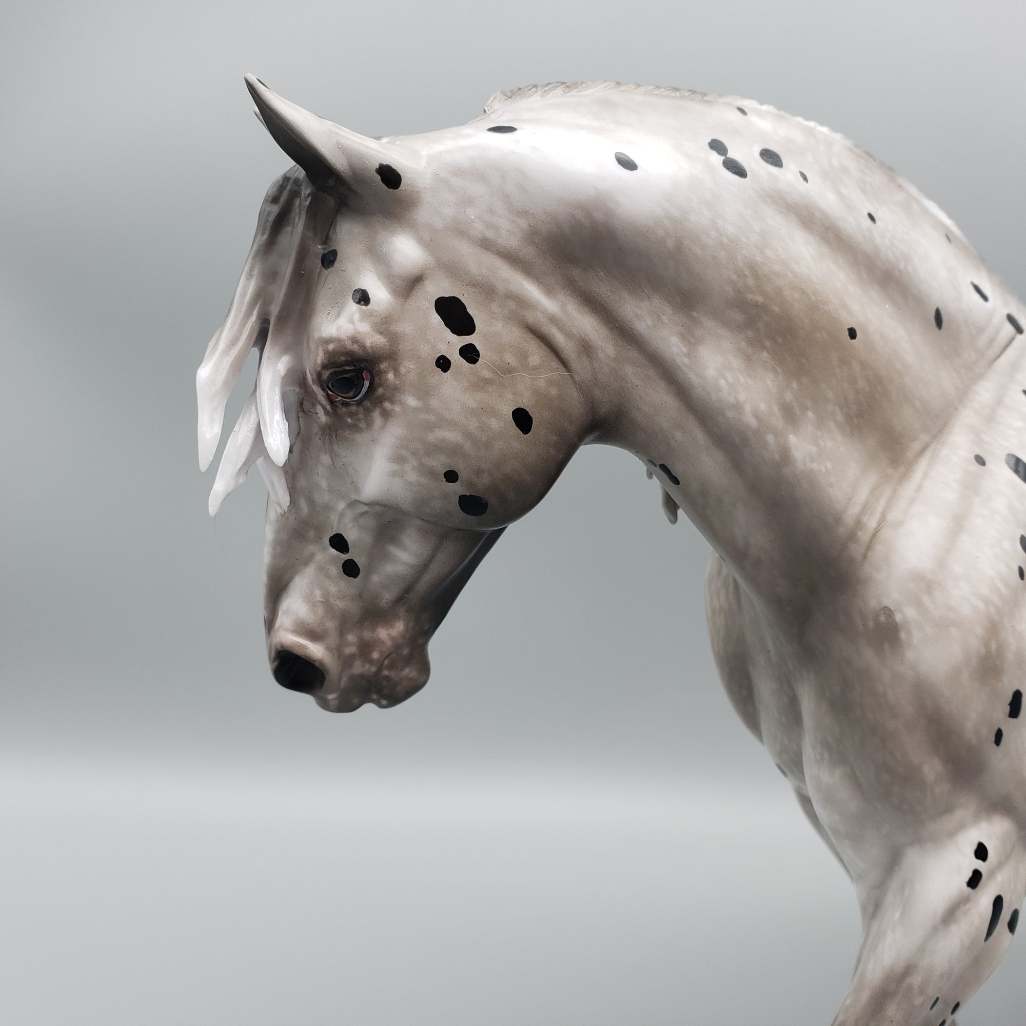 Sublime OOAK Leopard Appaloosa Irish Draft By Sheryl Leisure Best Offers 1/29/24