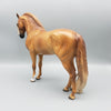 Brilliant OOAK Dappled Chestnut Andalusian By Sheryl Leisure Best Offers 1/29/24