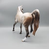 Posh OOAK Dappled Rose Gray Arabian Mare By Sheryl Leisure Best Offers 4/30/24