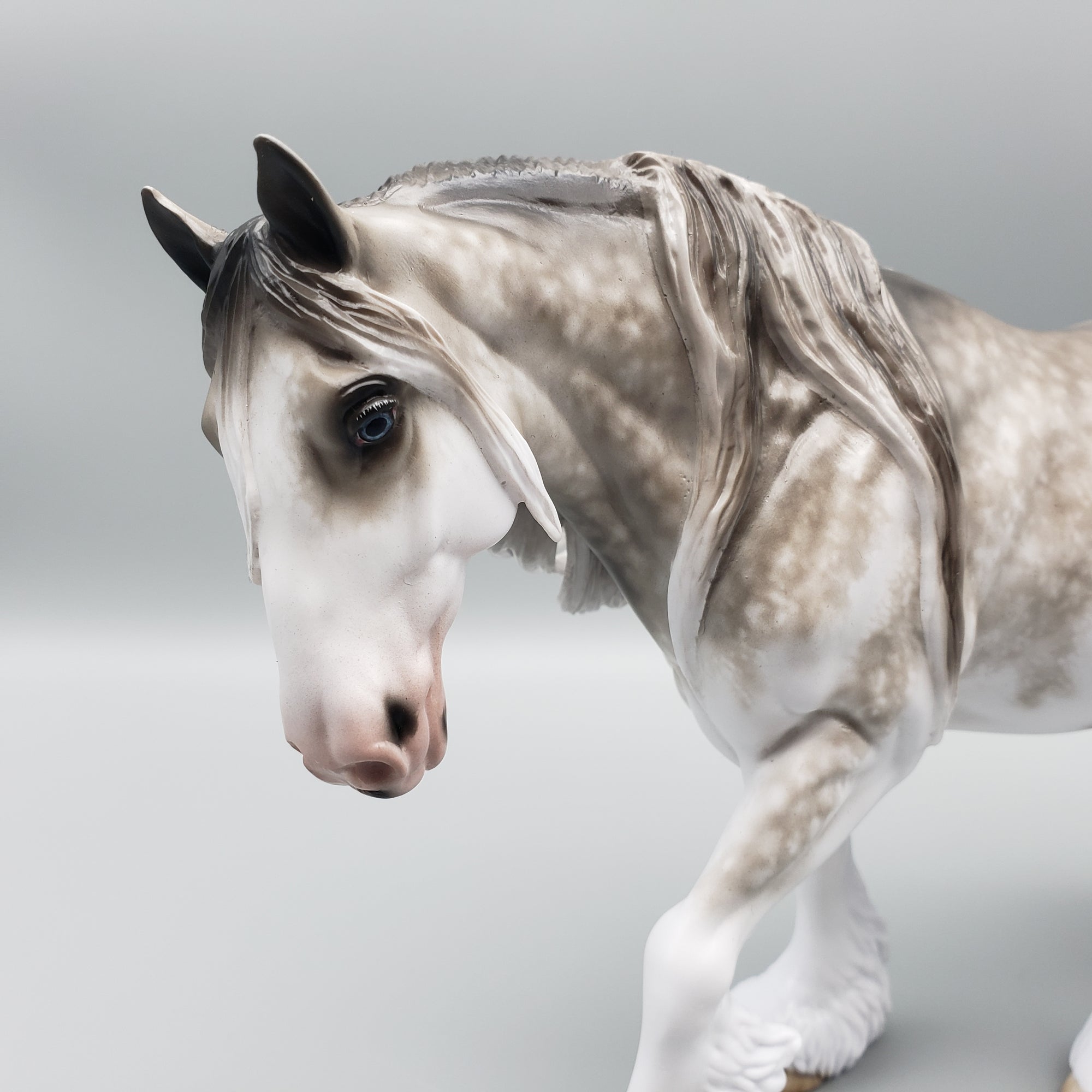 Resplendent OOAK Dappled Gray Sabino Cob By Sheryl Leisure Best Offers 1/29/24