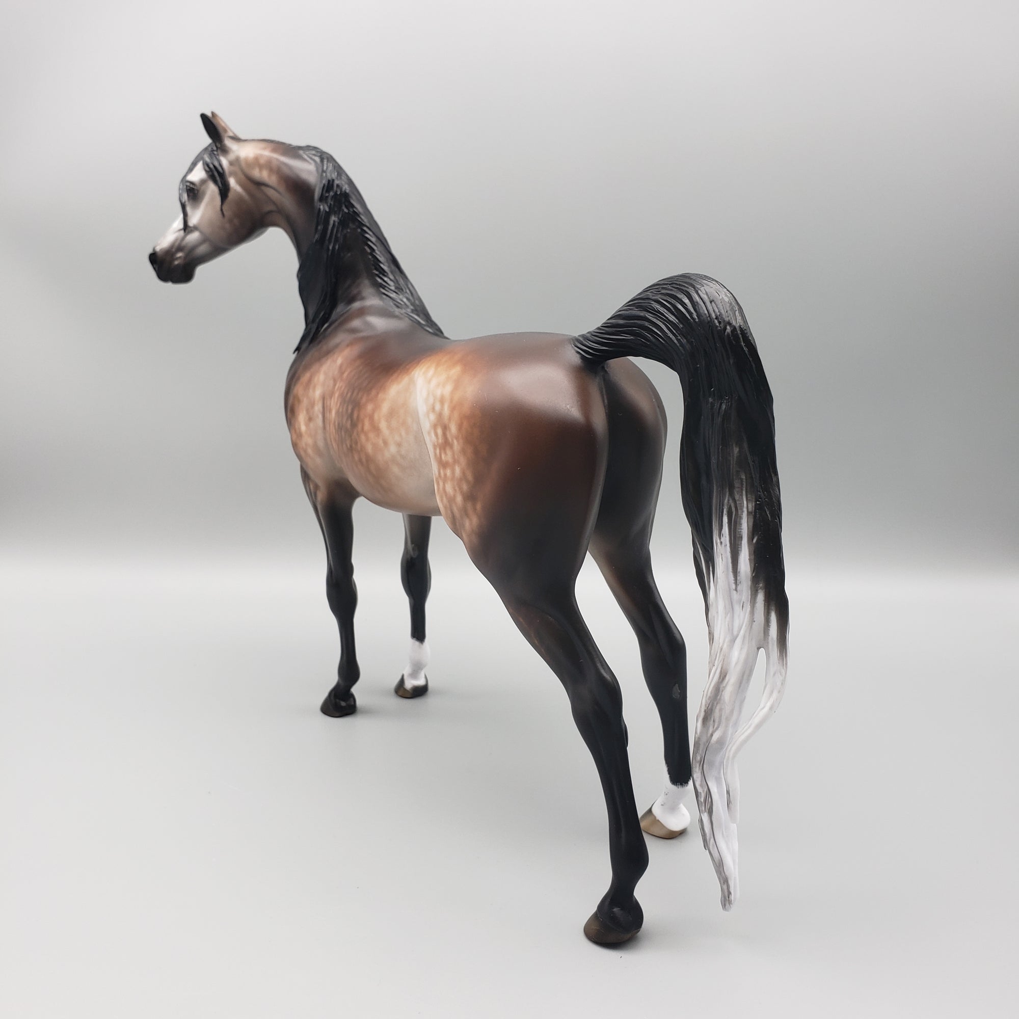 Sumptuous OOAK Dappled Bay going Gray Arabian By Sheryl Leisure Best Offers 1/29/24