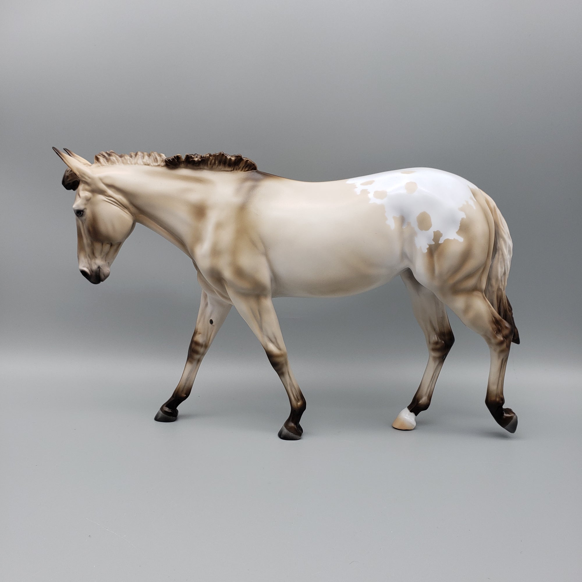 Mule Loyalty Release Loyalty Club 23/24