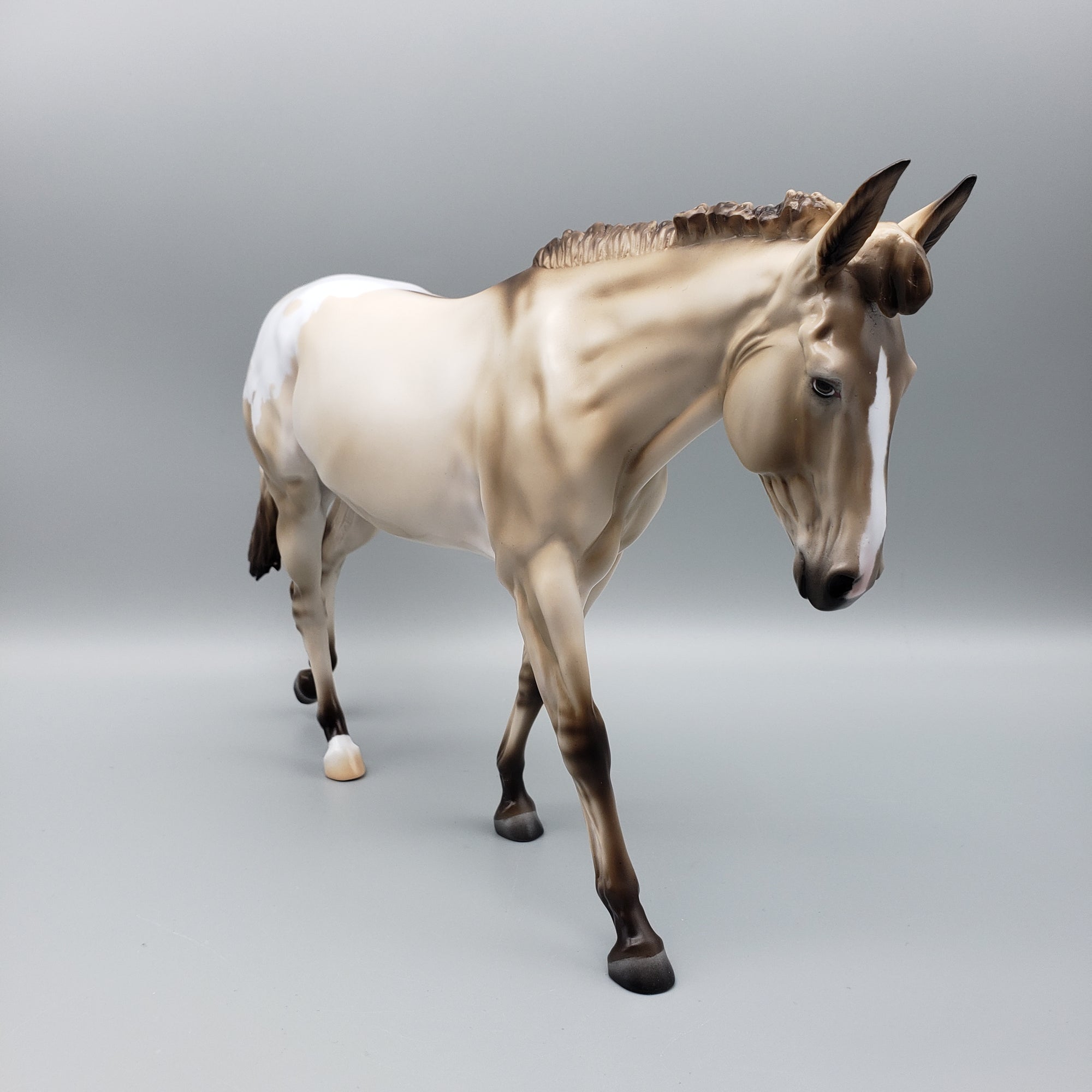 Mule Loyalty Release Loyalty Club 23/24