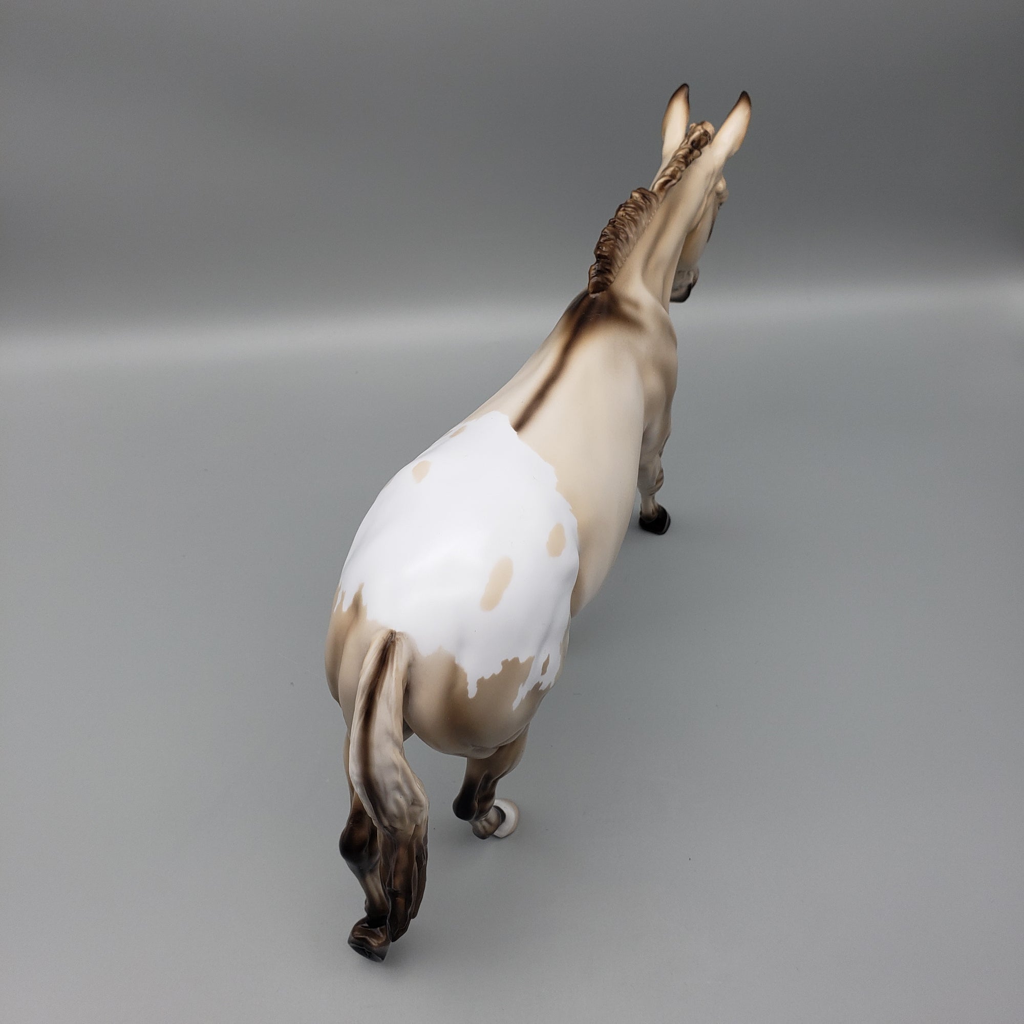 Mule Loyalty Release Loyalty Club 23/24