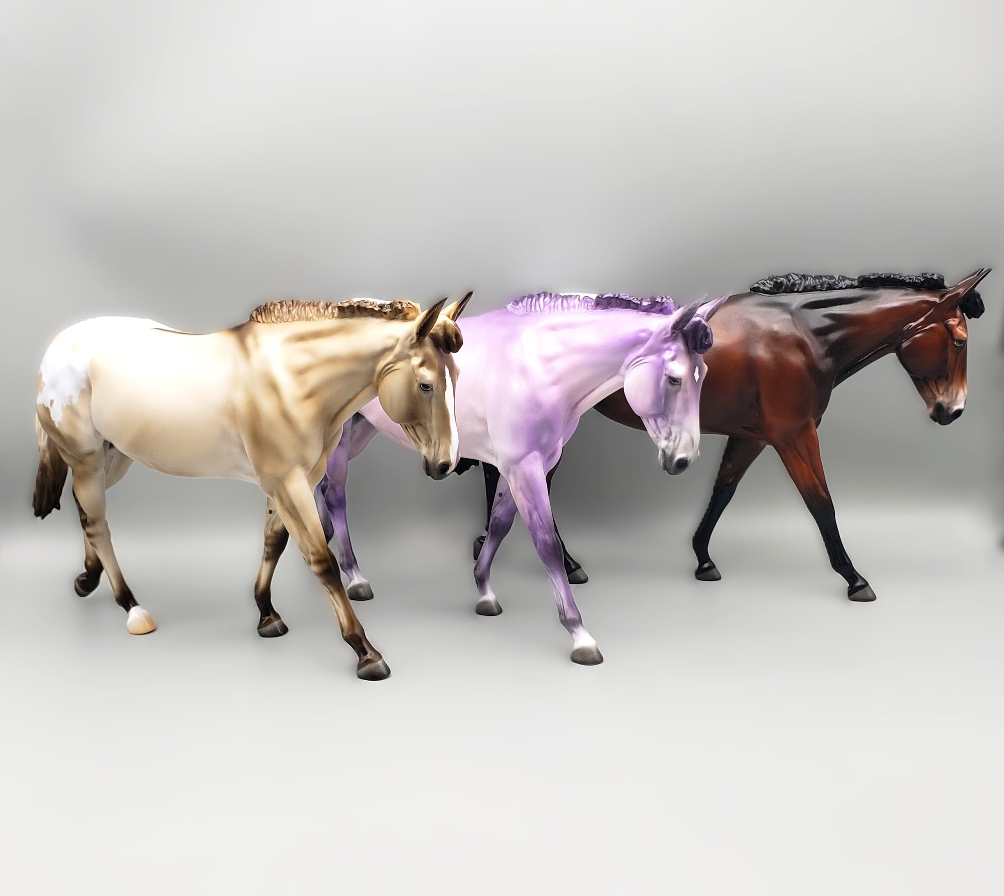 Mule Loyalty Release Loyalty Club 23/24