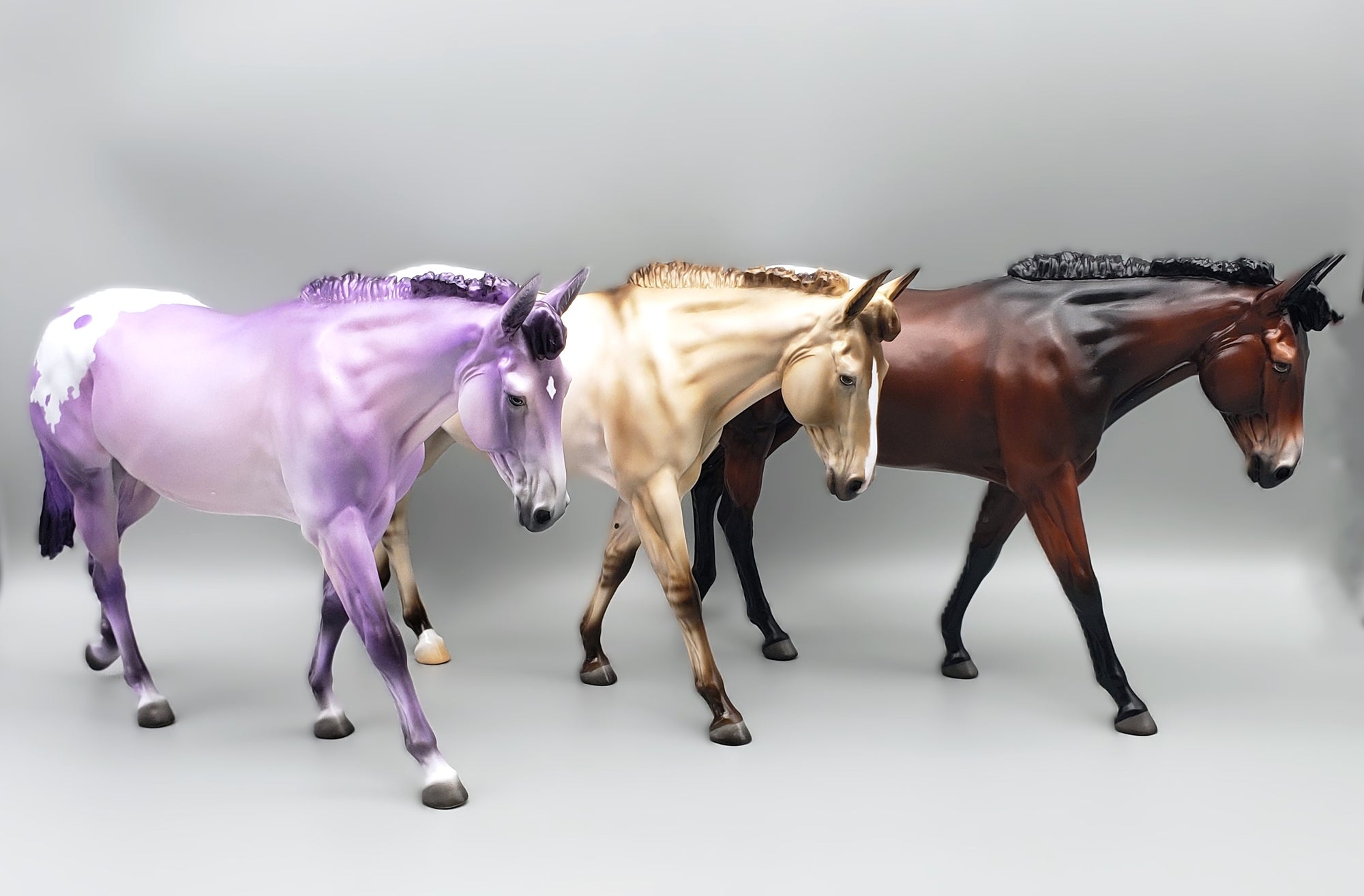 Mule Loyalty Release Loyalty Club 23/24