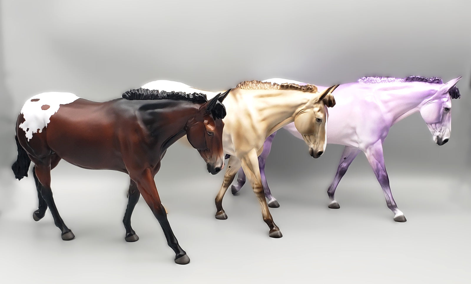 Mule Loyalty Release Loyalty Club 23/24