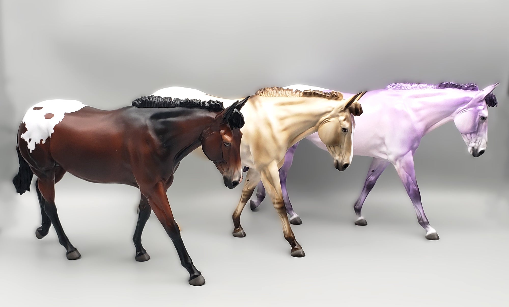 Mule Loyalty Release Loyalty Club 23/24