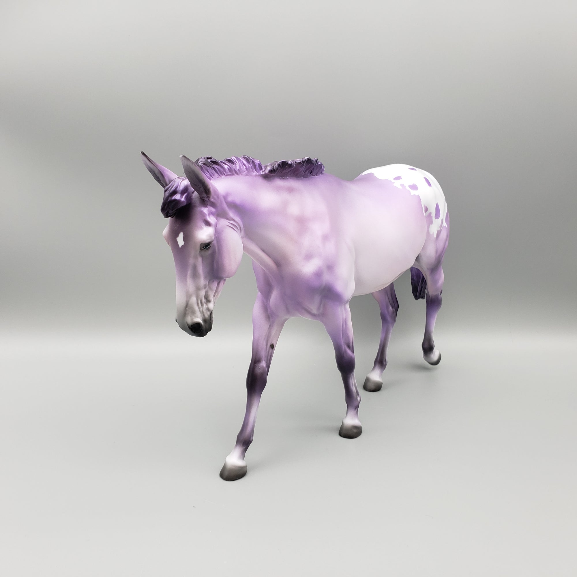 Mule Loyalty Release Loyalty Club 23/24