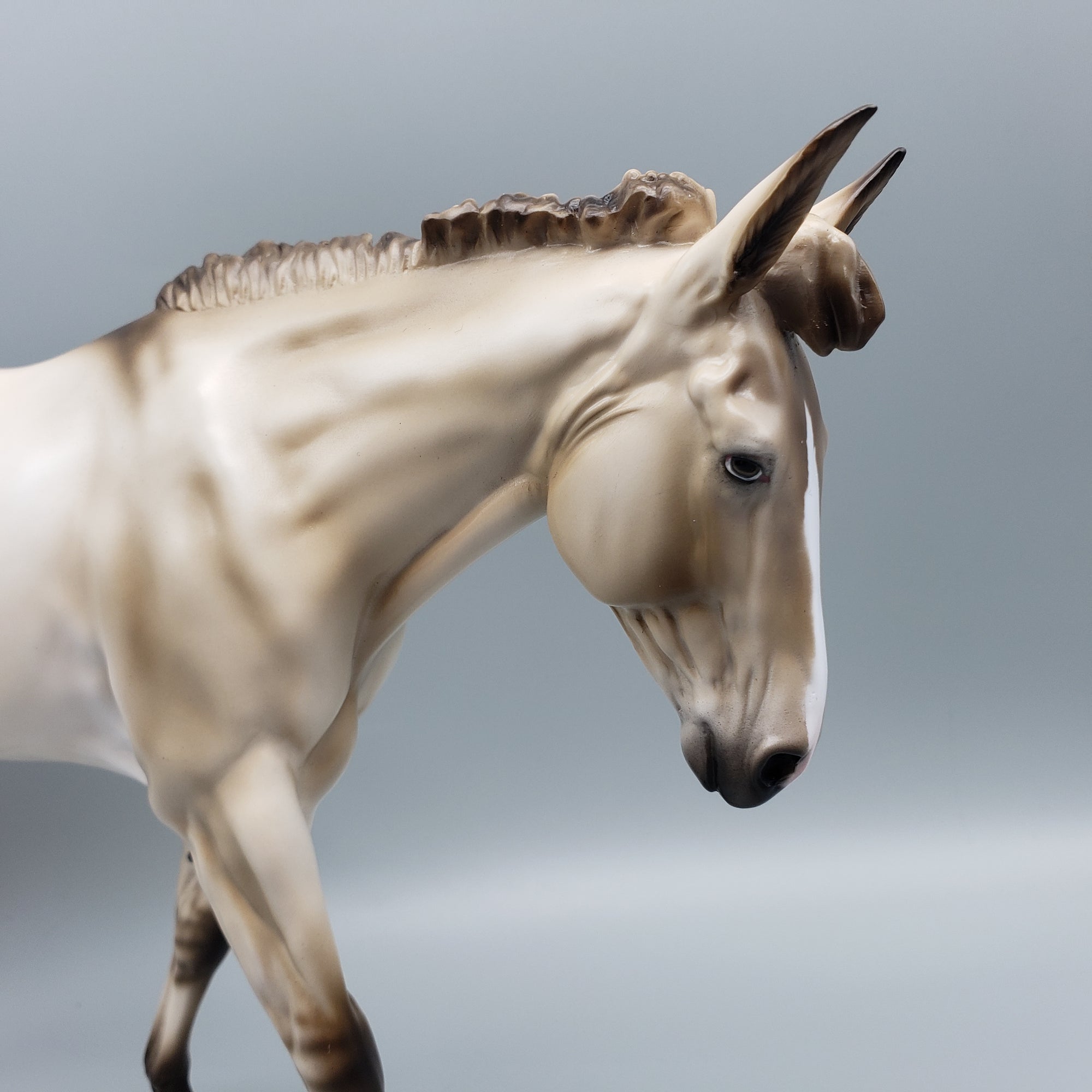 Mule Loyalty Release Loyalty Club 23/24