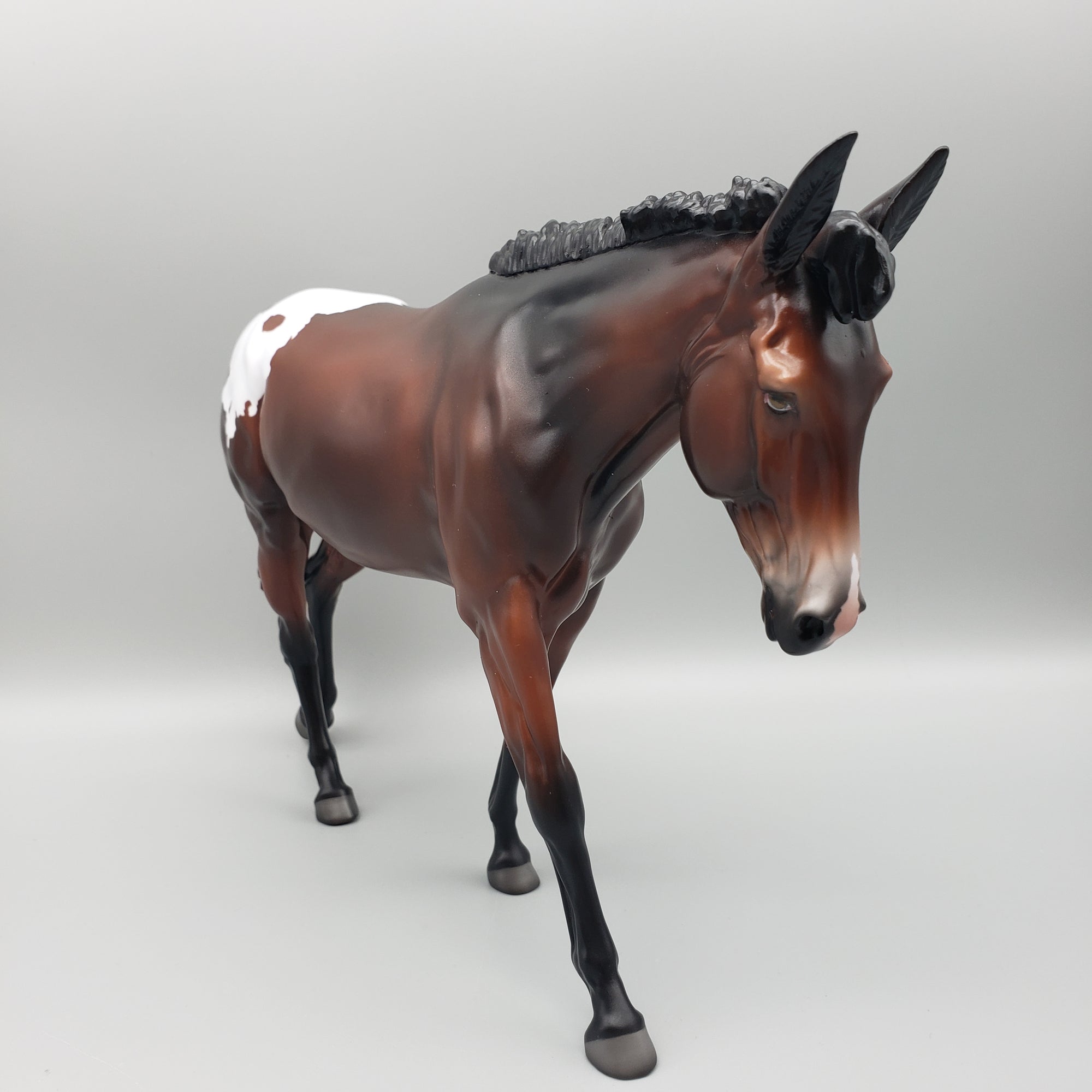 Mule Loyalty Release Loyalty Club 23/24