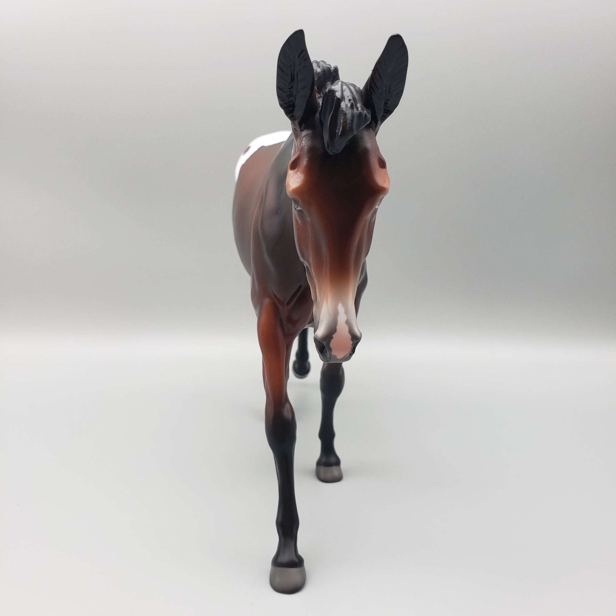 Mule Loyalty Release Loyalty Club 23/24