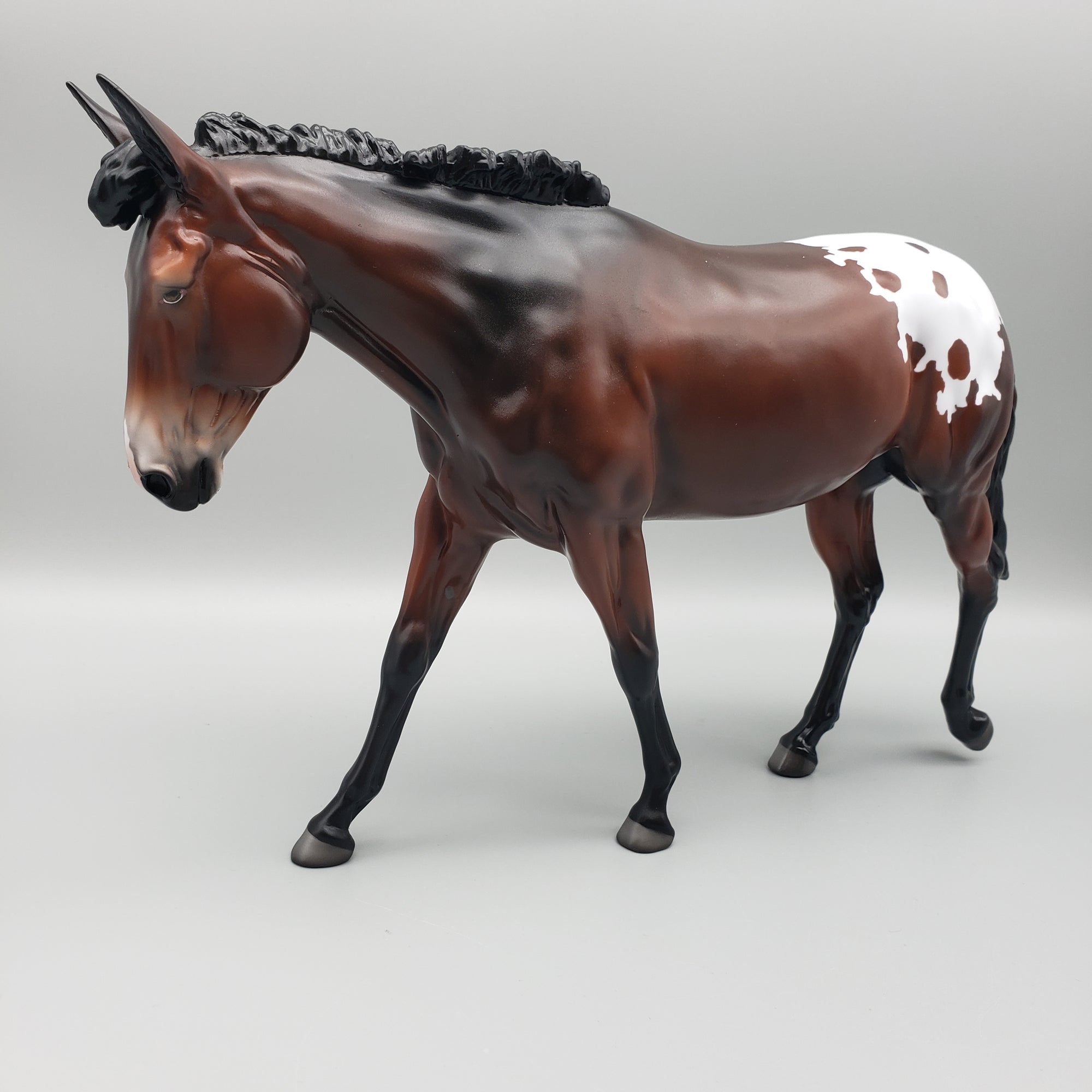 Mule Loyalty Release Loyalty Club 23/24