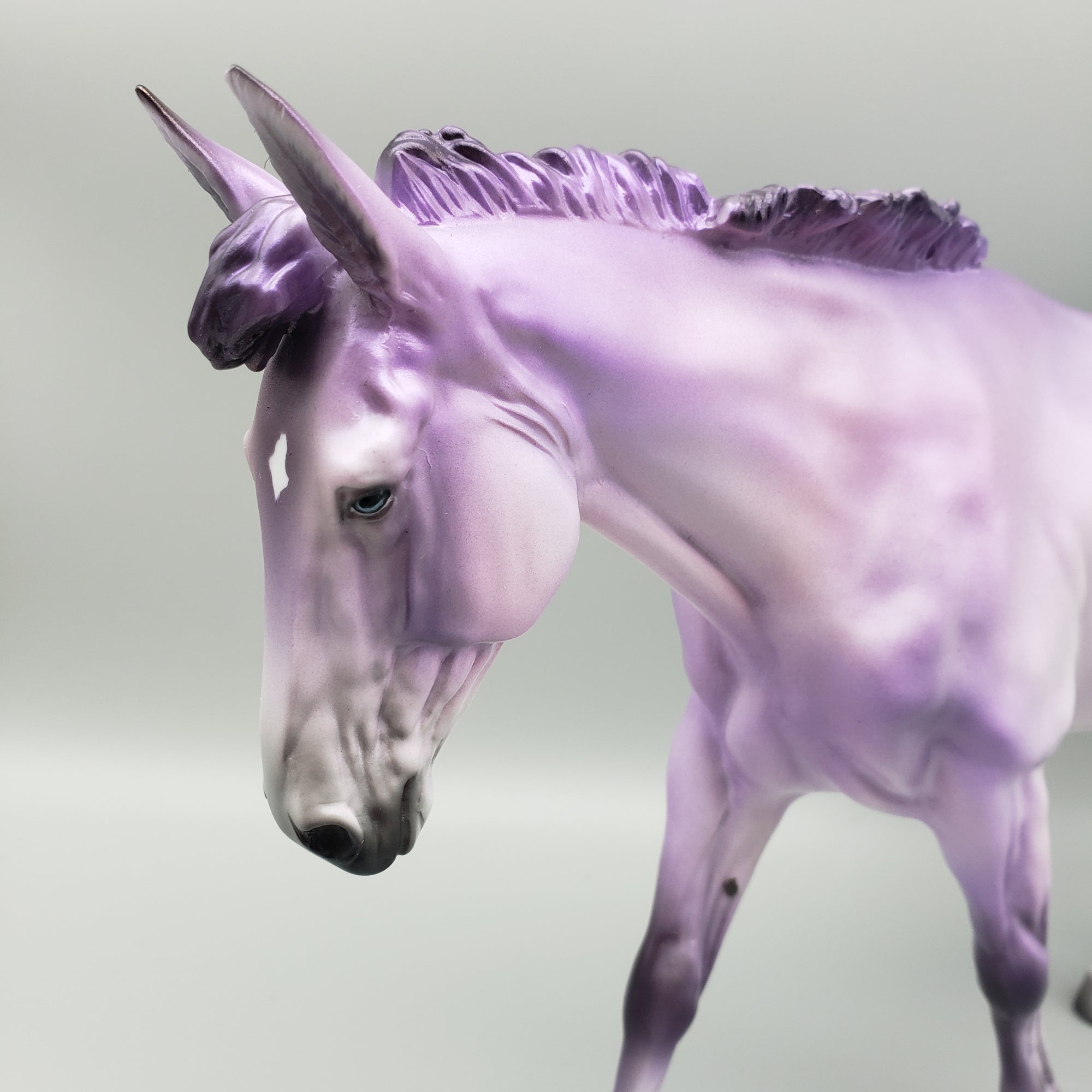 Mule Loyalty Release Loyalty Club 23/24