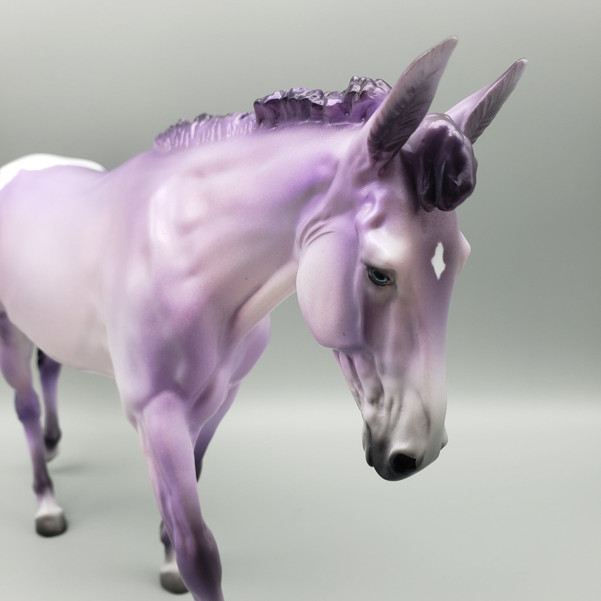 Mule Loyalty Release Loyalty Club 23/24