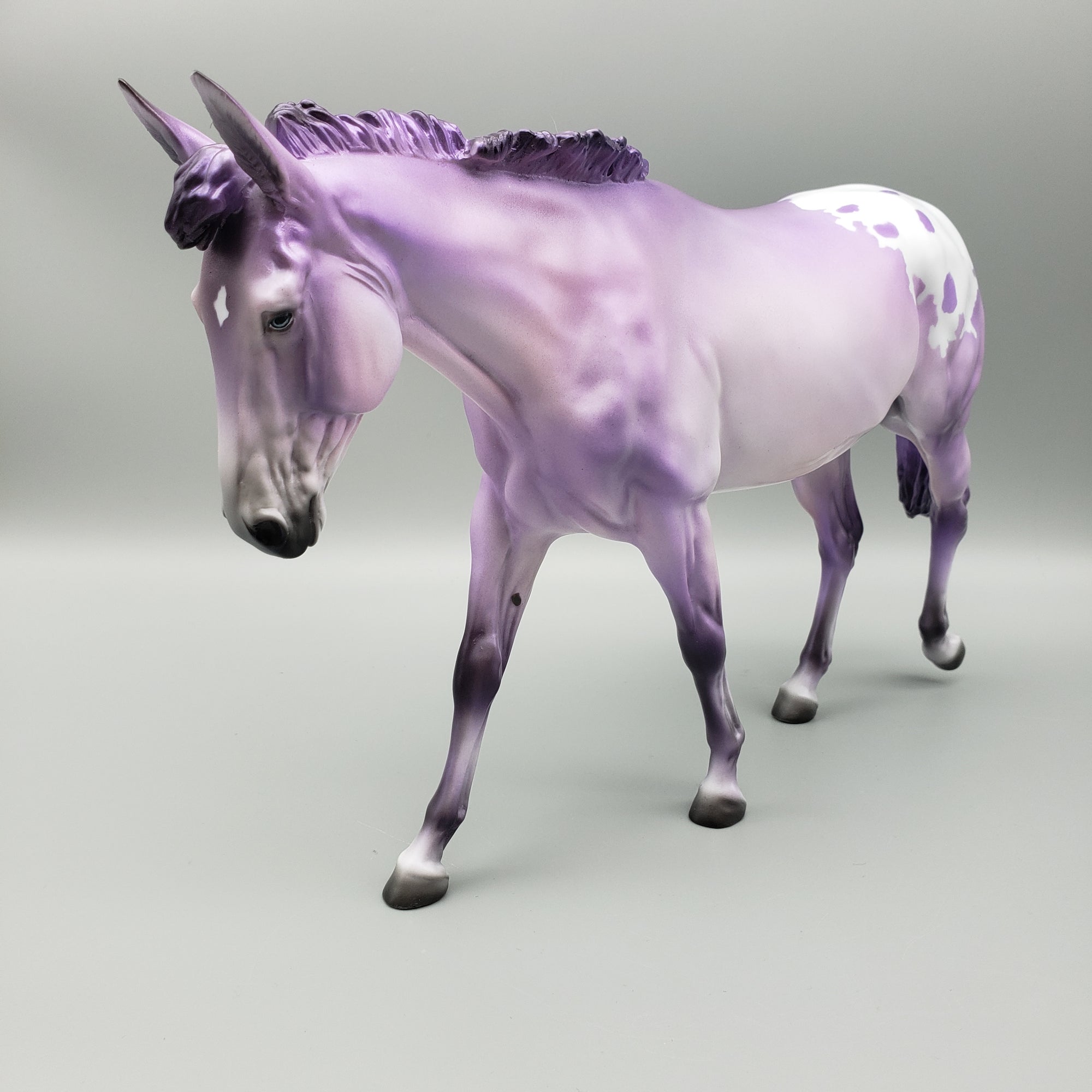 Mule Loyalty Release Loyalty Club 23/24