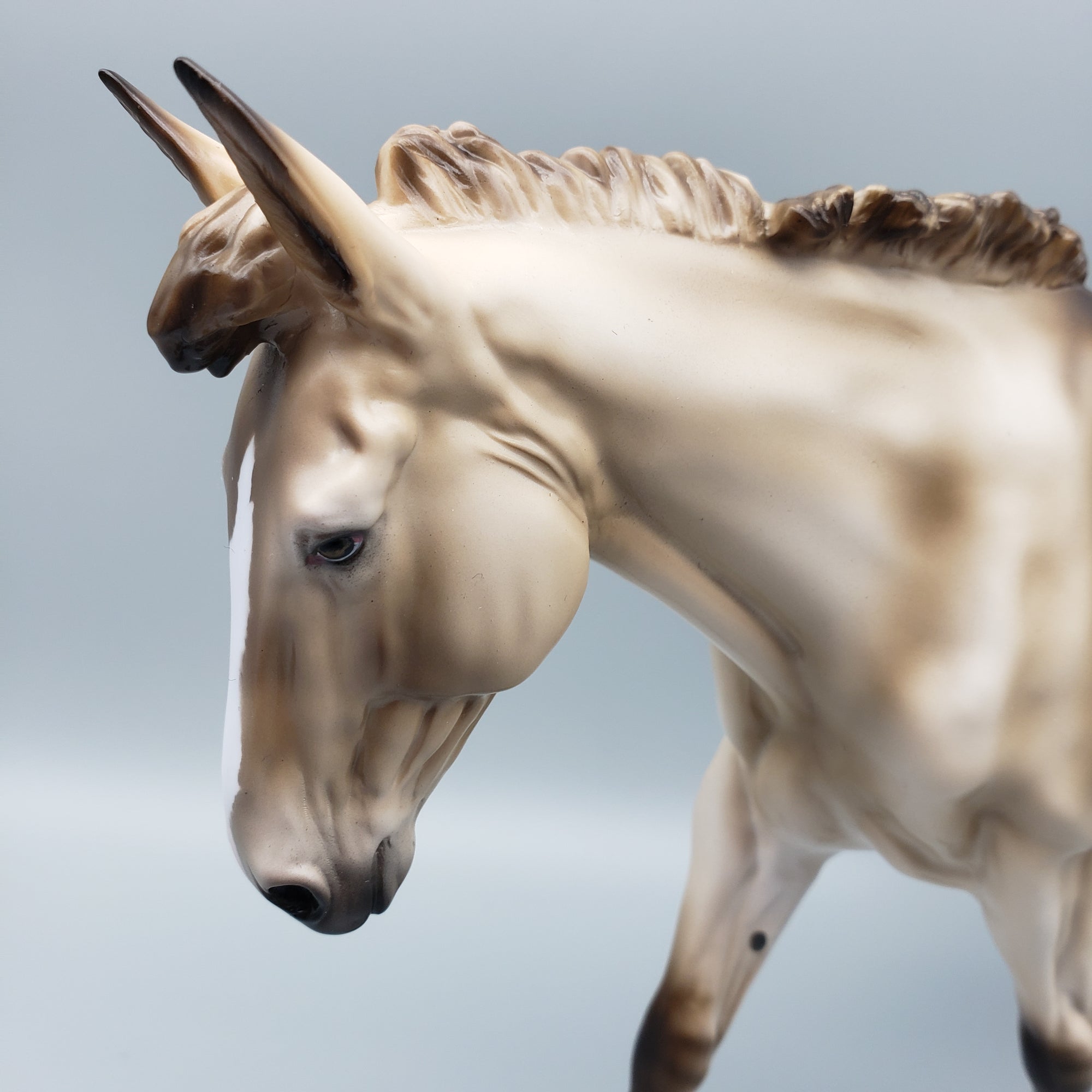 Mule Loyalty Release Loyalty Club 23/24