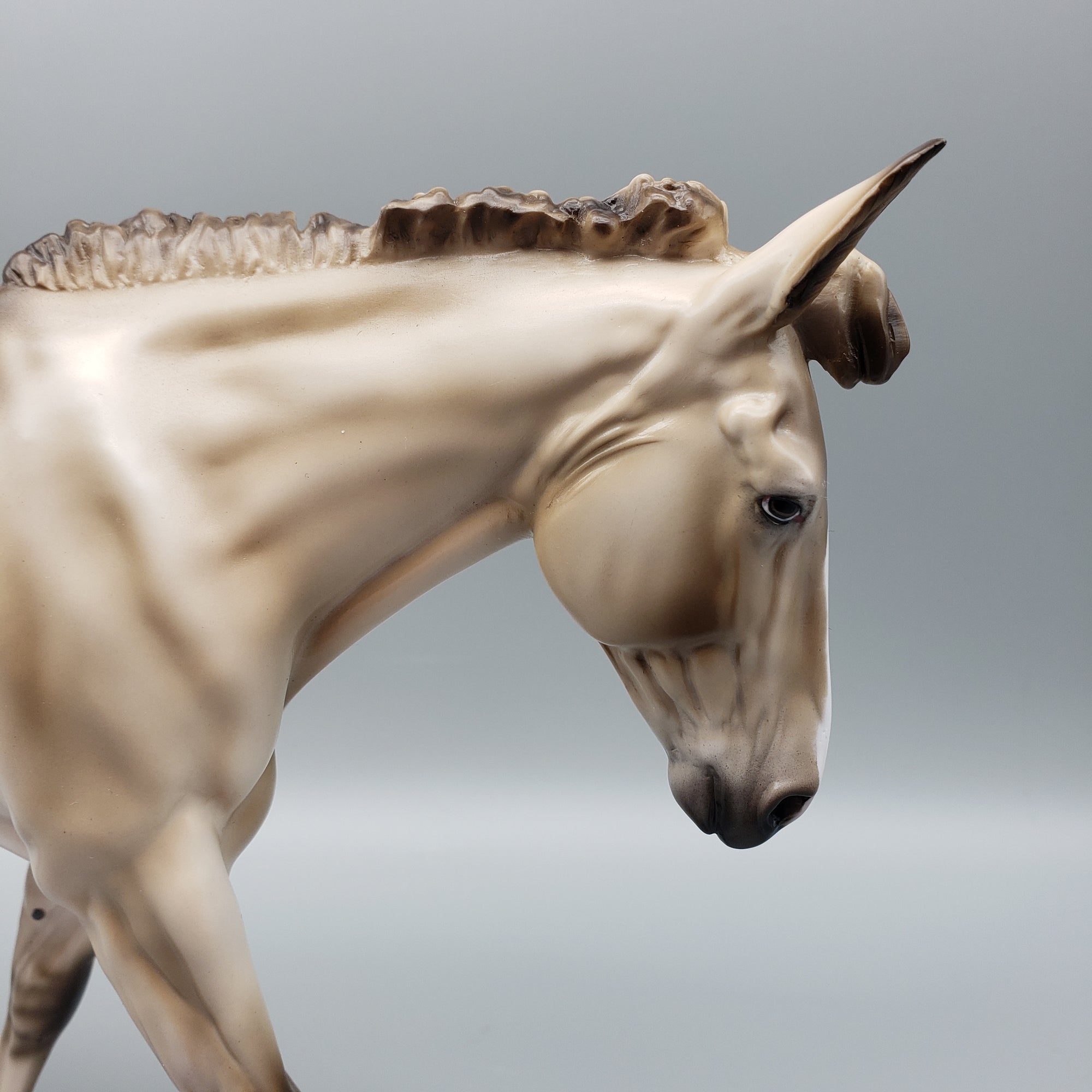 Mule Loyalty Release Loyalty Club 23/24