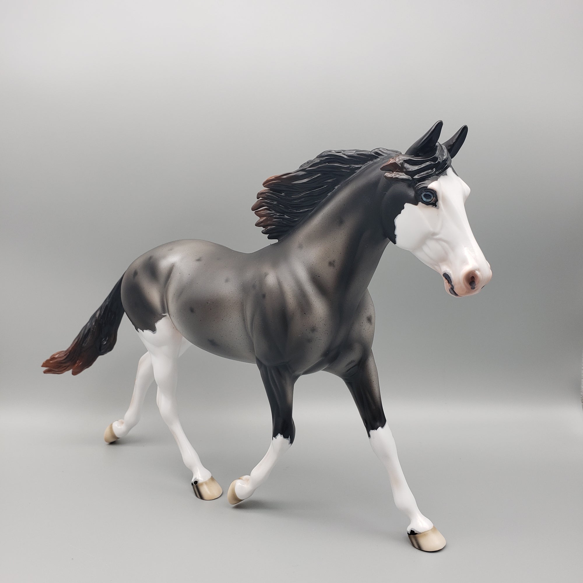 Winter Run OOAK Sun Bleached Blue Roan with Corn Spots Palouse By Ashley Palmer Best Offers 1/29/24