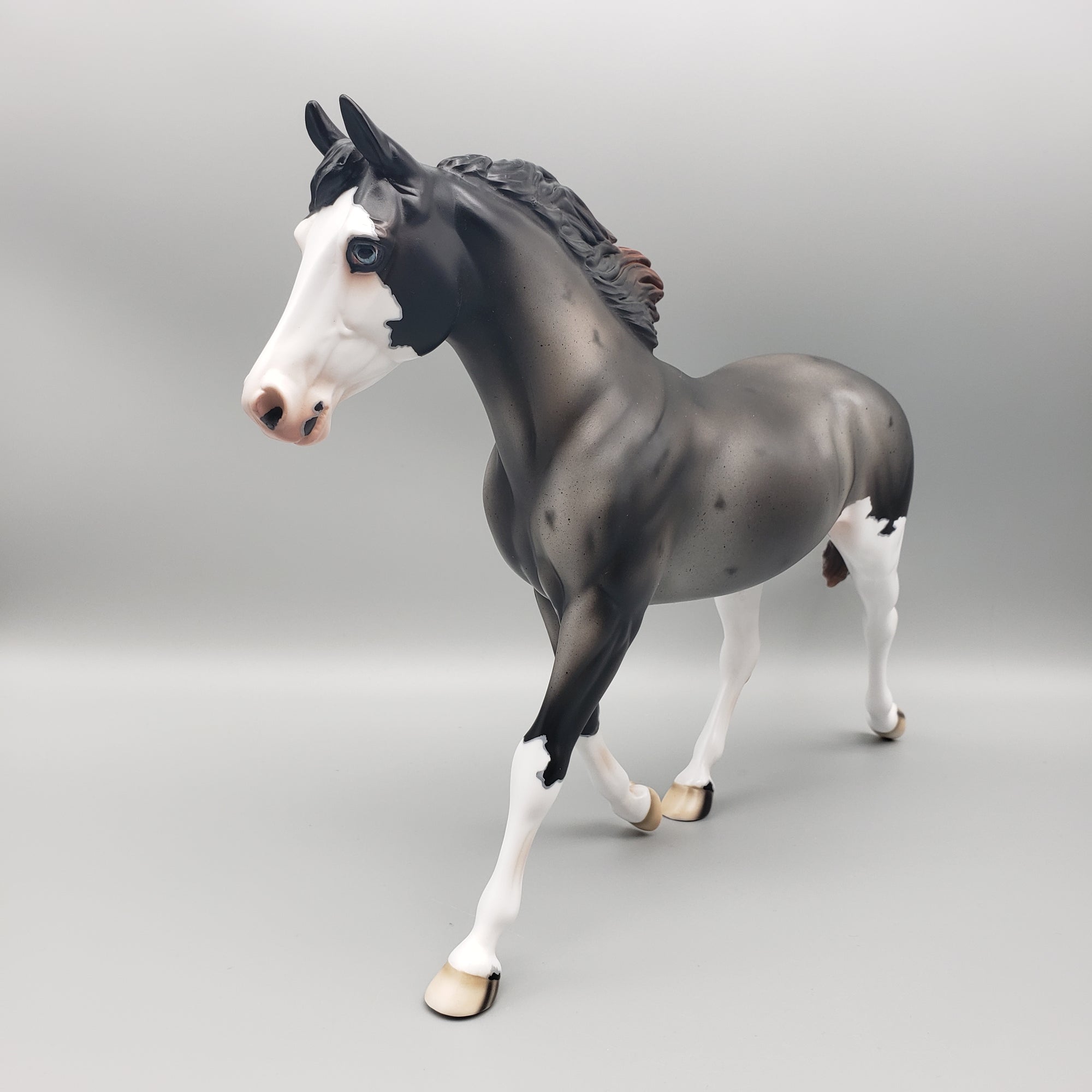 Winter Run OOAK Sun Bleached Blue Roan with Corn Spots Palouse By Ashley Palmer Best Offers 1/29/24