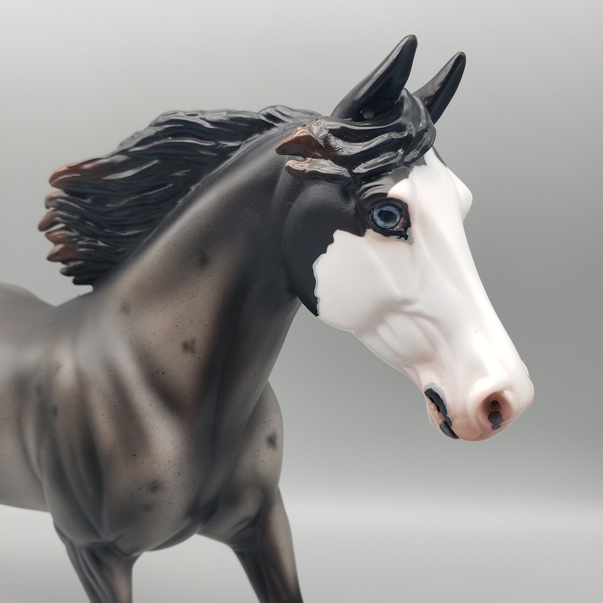 Winter Run OOAK Sun Bleached Blue Roan with Corn Spots Palouse By Ashley Palmer Best Offers 1/29/24