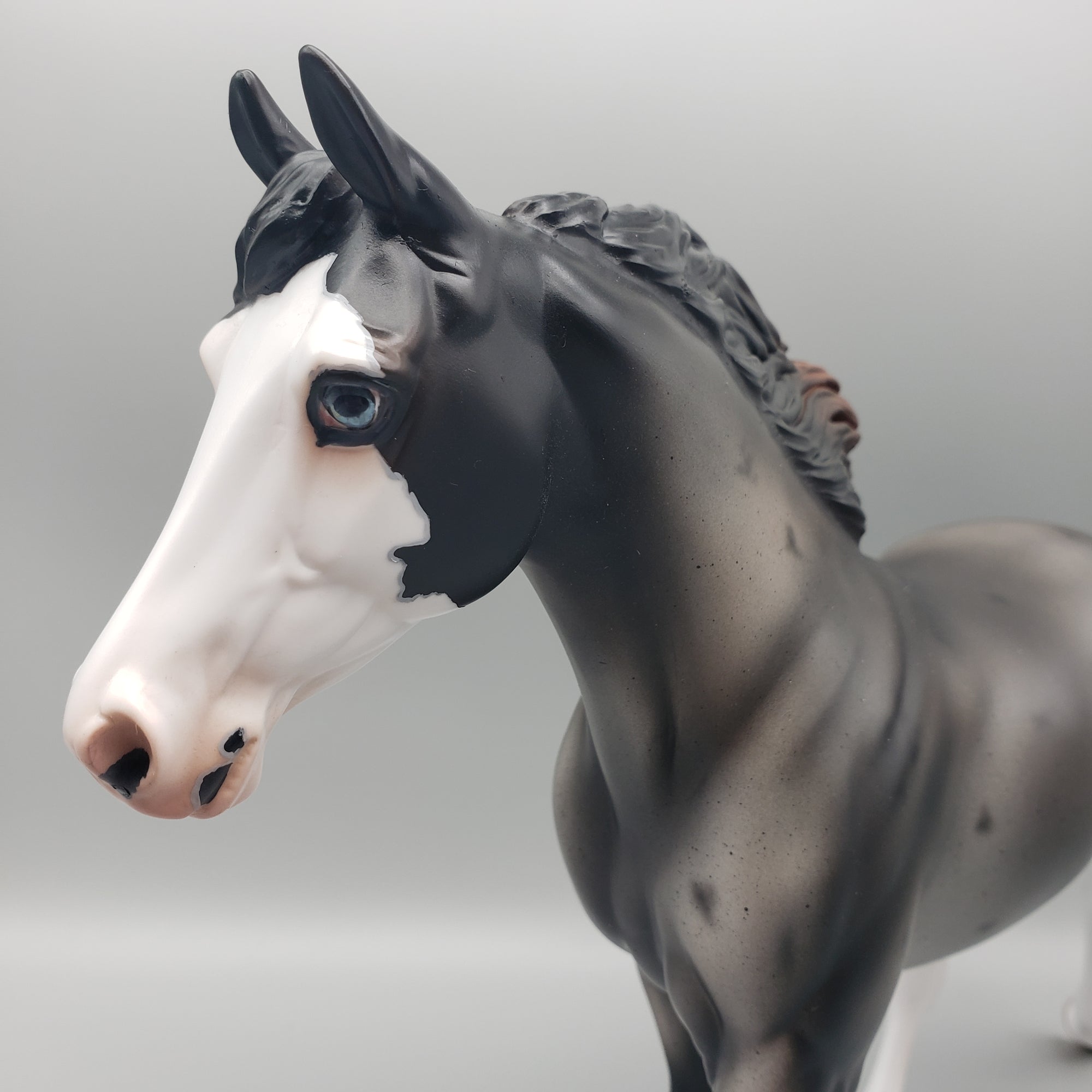 Winter Run OOAK Sun Bleached Blue Roan with Corn Spots Palouse By Ashley Palmer Best Offers 1/29/24