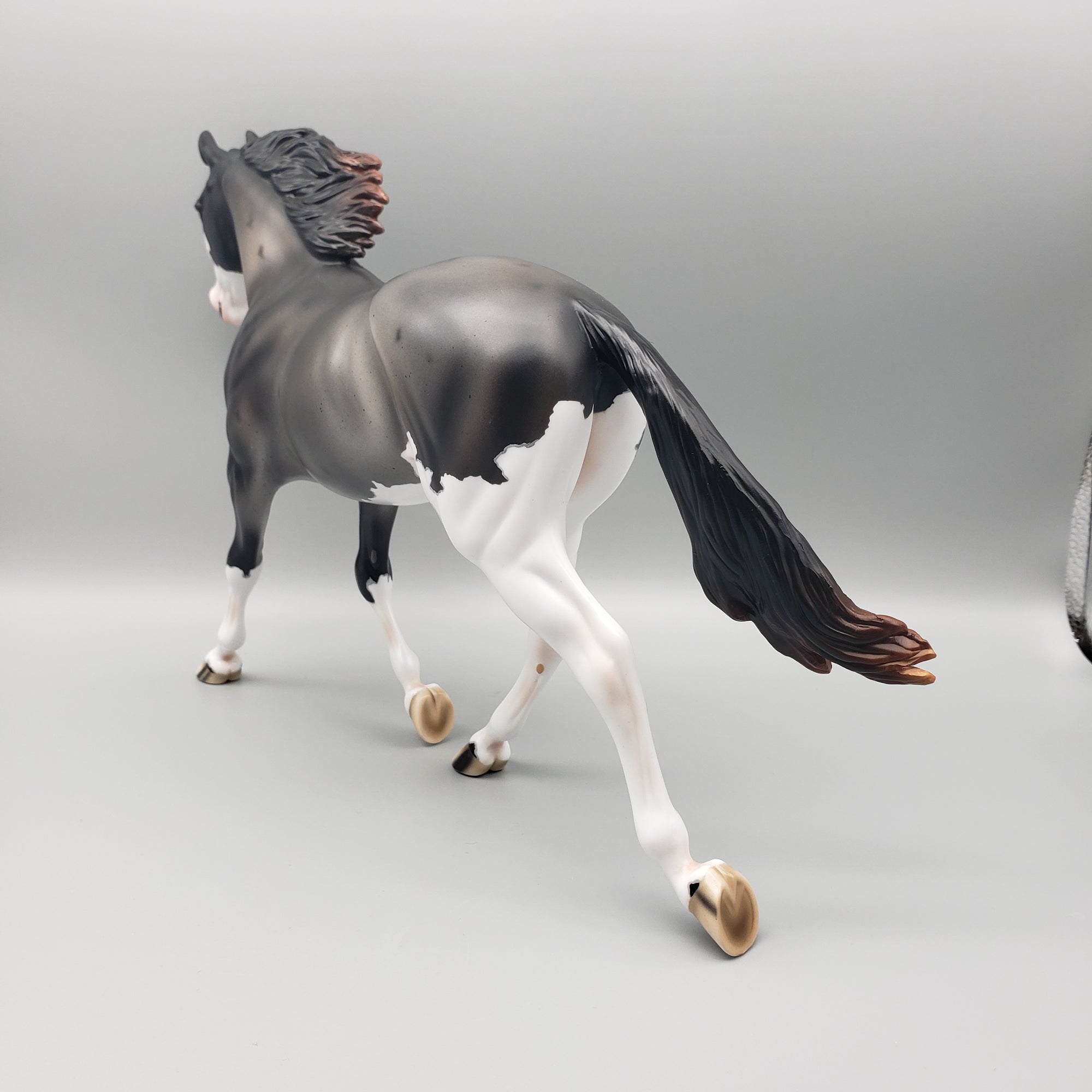 Winter Run OOAK Sun Bleached Blue Roan with Corn Spots Palouse By Ashley Palmer Best Offers 1/29/24