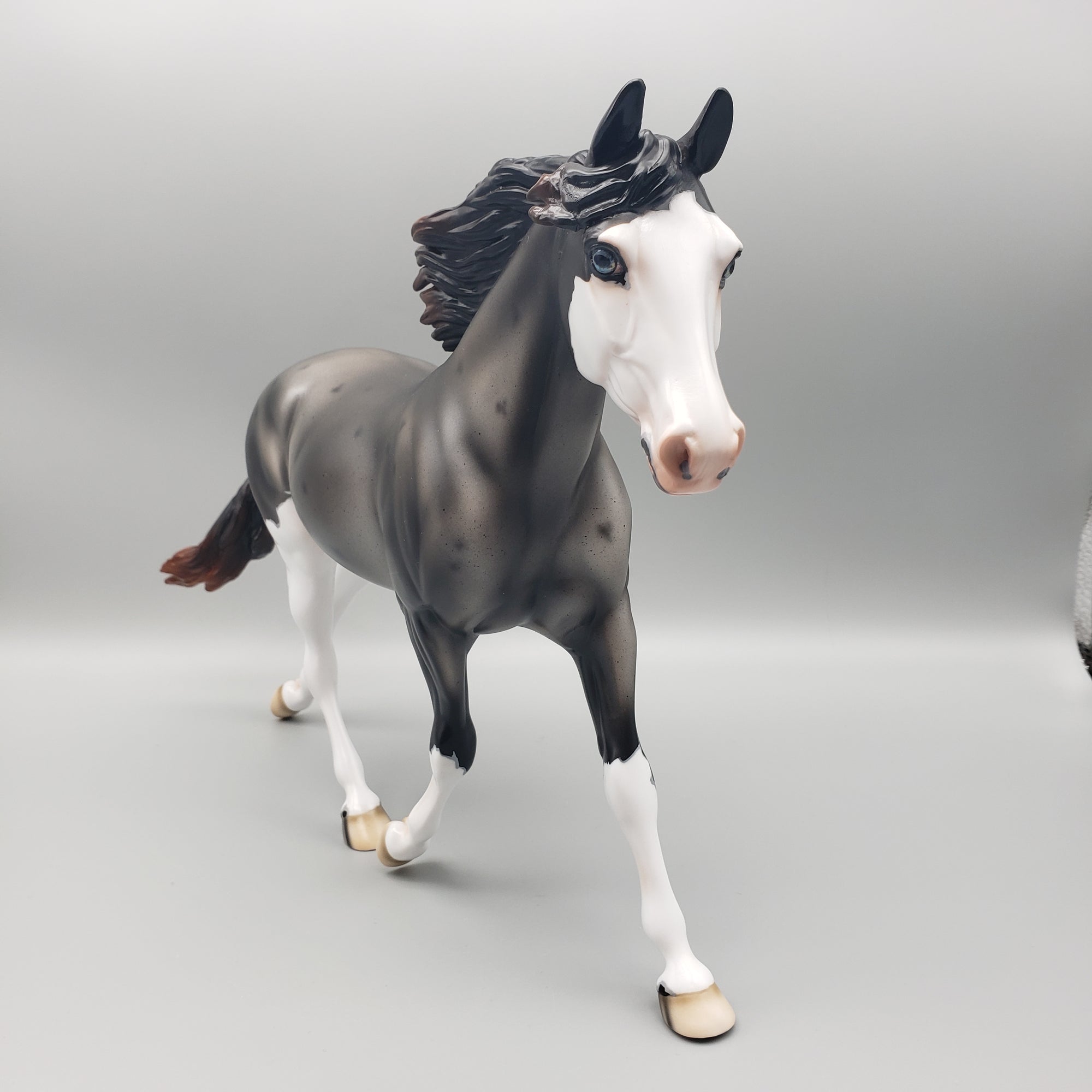 Winter Run OOAK Sun Bleached Blue Roan with Corn Spots Palouse By Ashley Palmer Best Offers 1/29/24