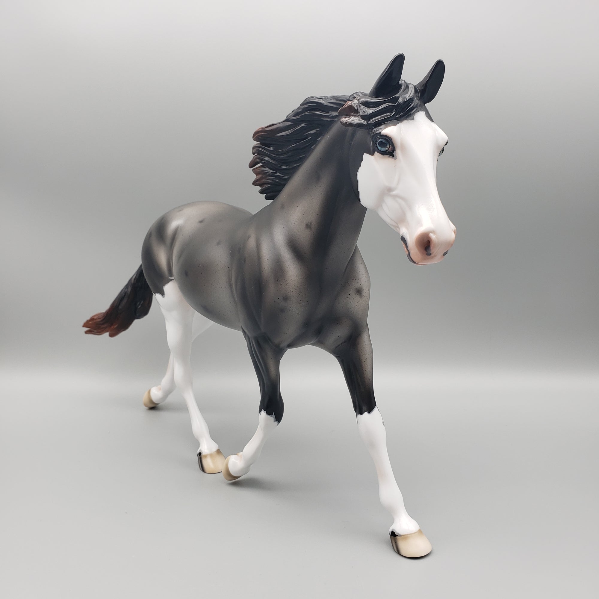 Winter Run OOAK Sun Bleached Blue Roan with Corn Spots Palouse By Ashley Palmer Best Offers 1/29/24