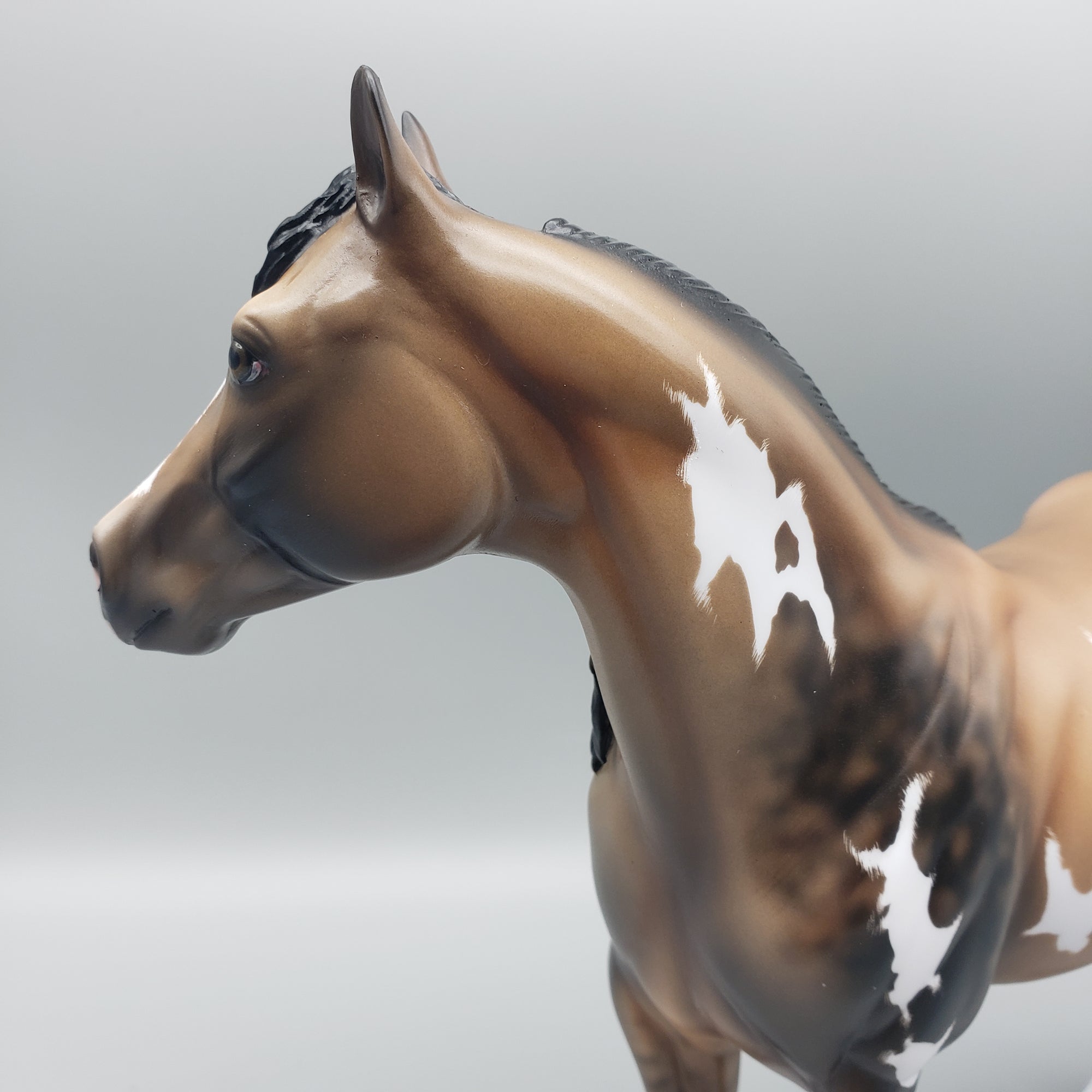 Fen OOAK Sooty Buckskin Overo ISH By Angela Marleau Best Offers 1/29/24