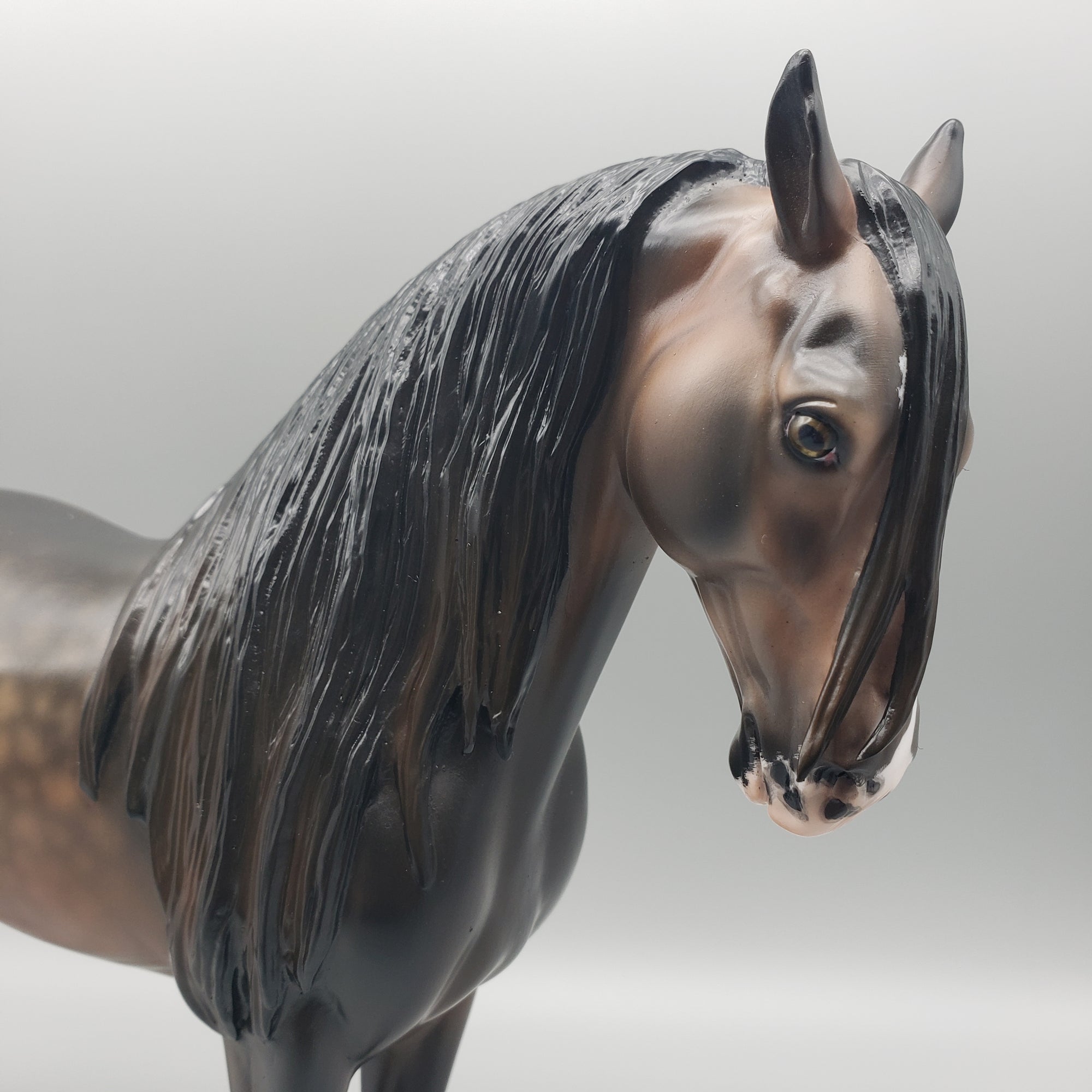 Valade OOAK Dappled Sooty Buckskin Andalusian By Jess Hamill Best Offers 1/29/24