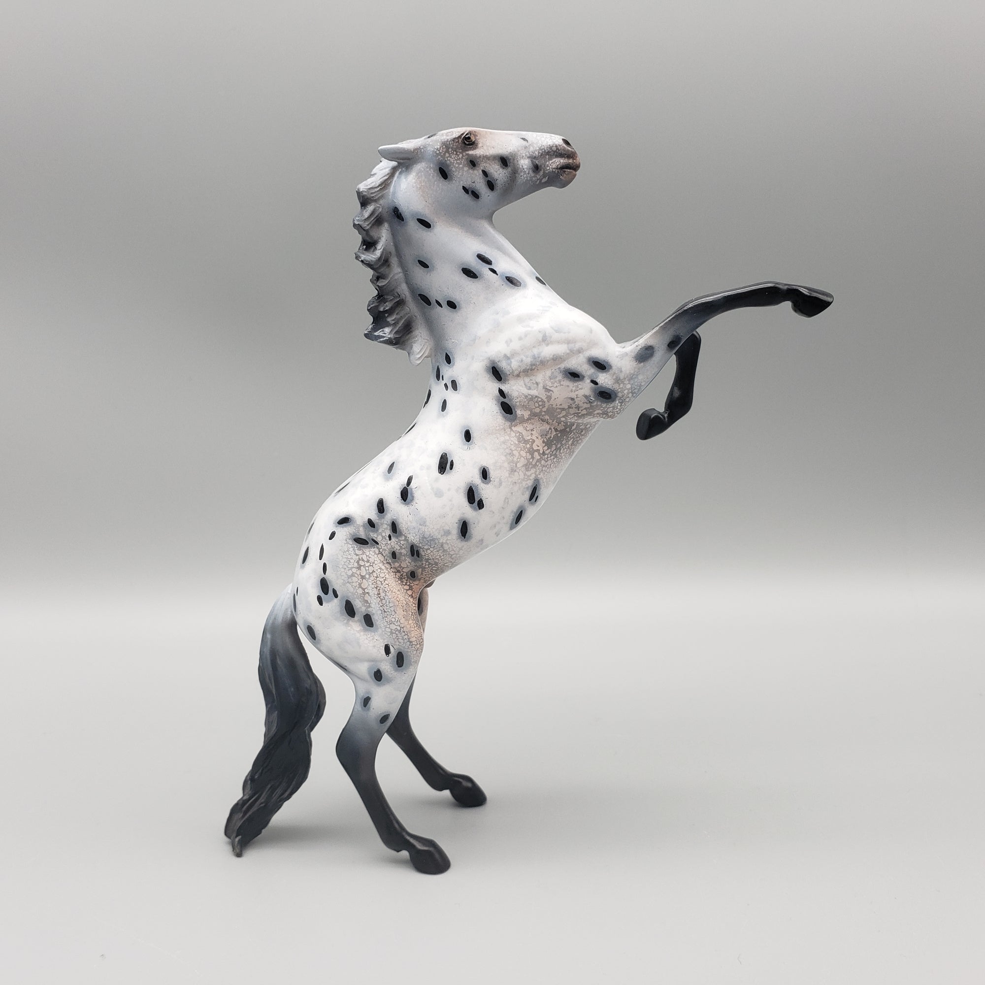 Longing OOAK Appaloosa Rearing Pebble By Dawn Quick Val24 Best Offer MHP Auction