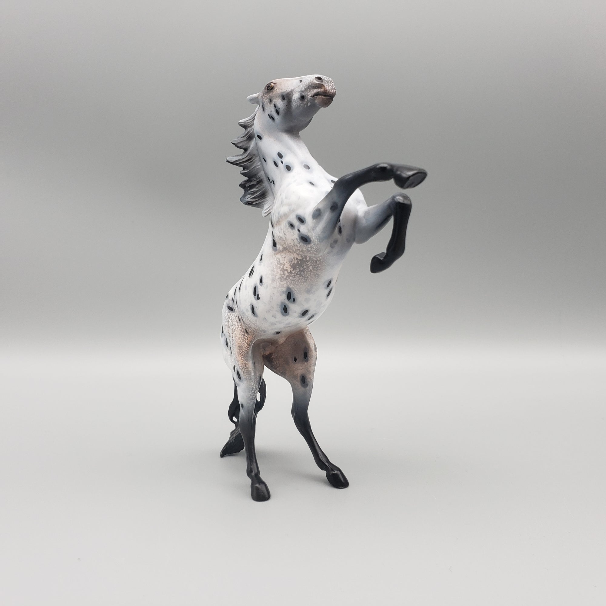 Longing OOAK Appaloosa Rearing Pebble By Dawn Quick Val24 Best Offer MHP Auction