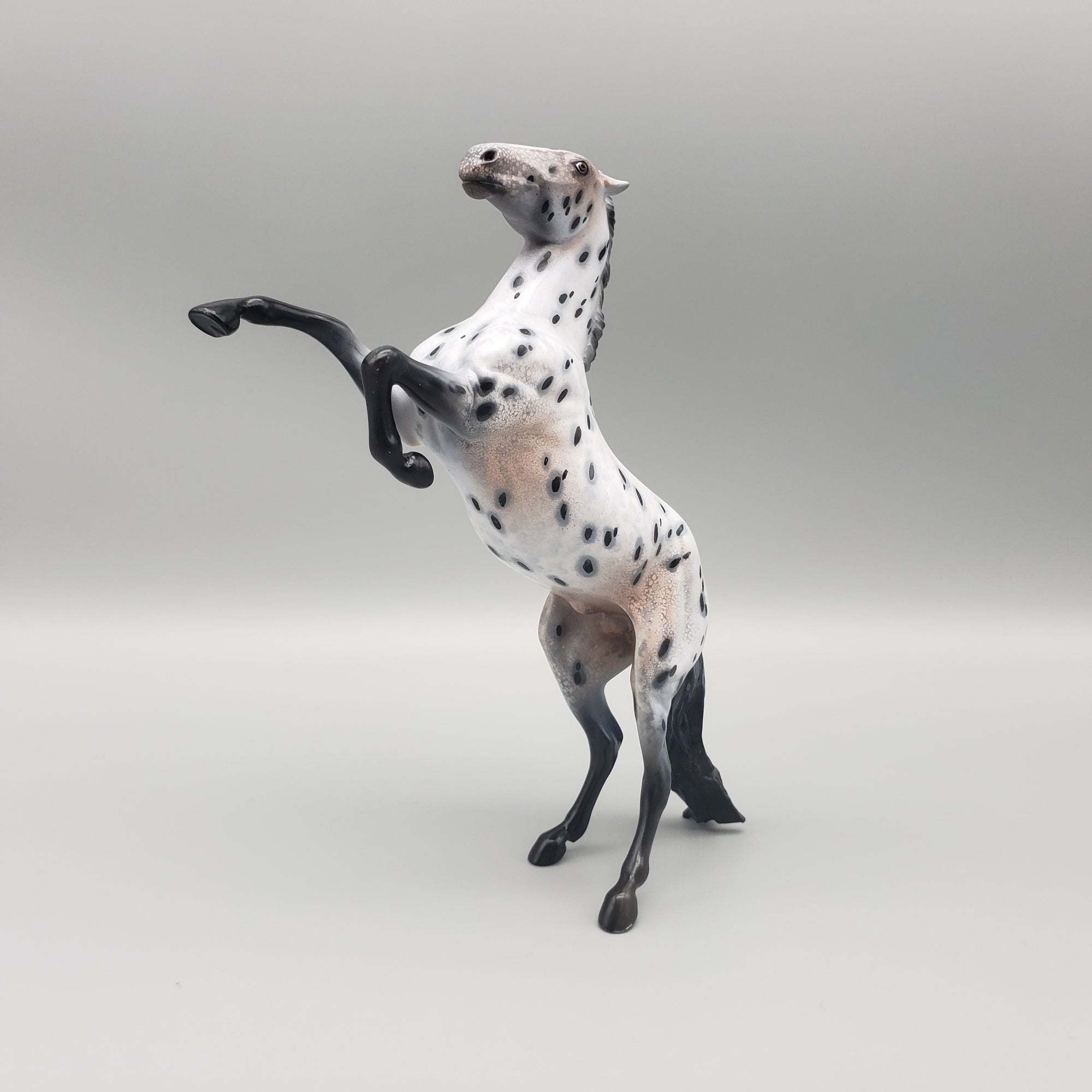 Longing OOAK Appaloosa Rearing Pebble By Dawn Quick Val24 Best Offer MHP Auction