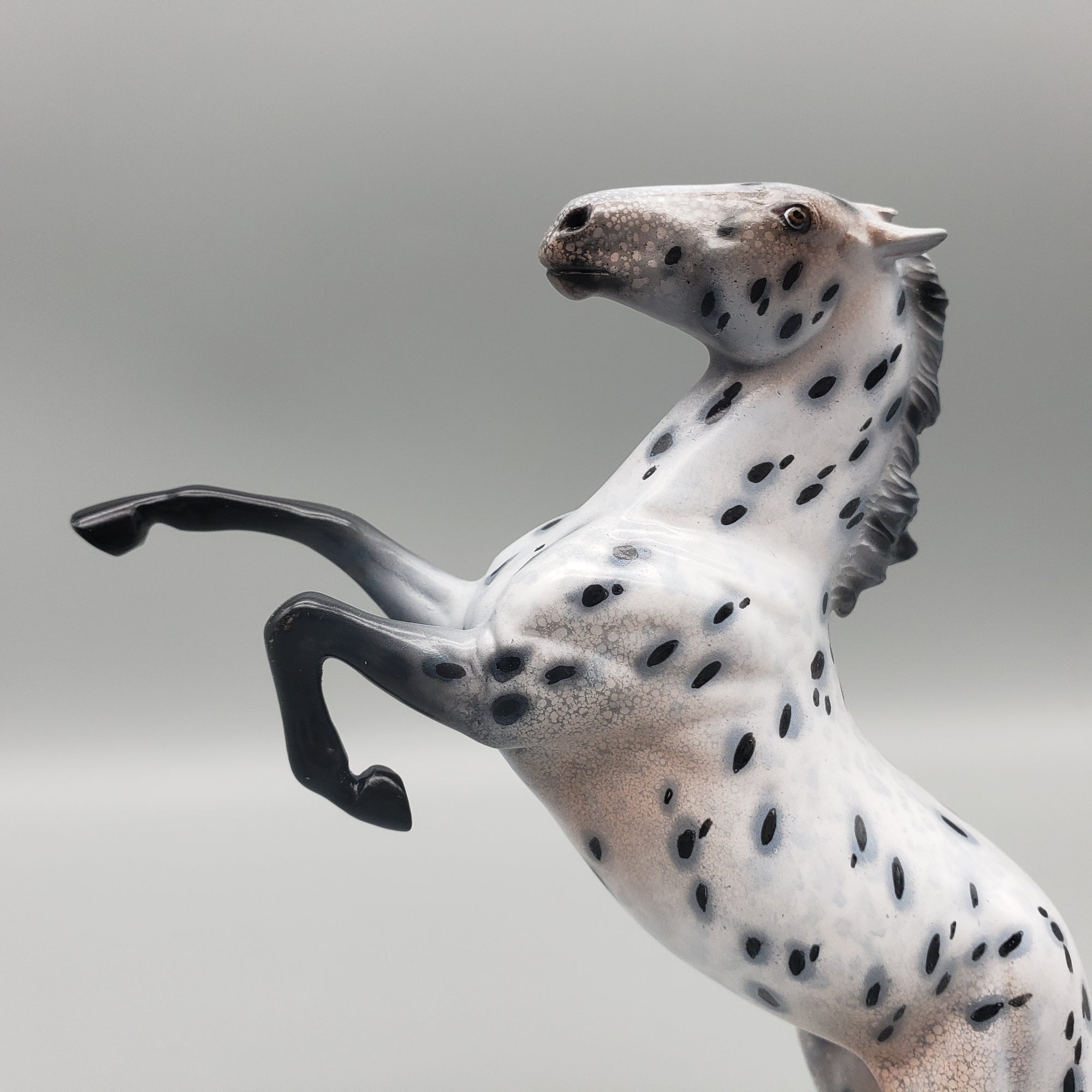 Longing OOAK Appaloosa Rearing Pebble By Dawn Quick Val24 Best Offer MHP Auction