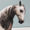Magnifico OOAK Dappled Grey Andalusian By Sheryl Leisure Best Offers 2/5/24