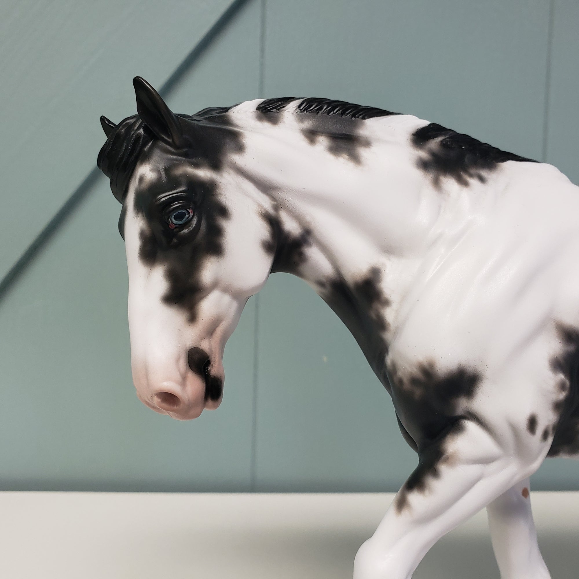 Opulent OOAK Black Sabino Cob By Sheryl Leisure Best Offers 2/5/24