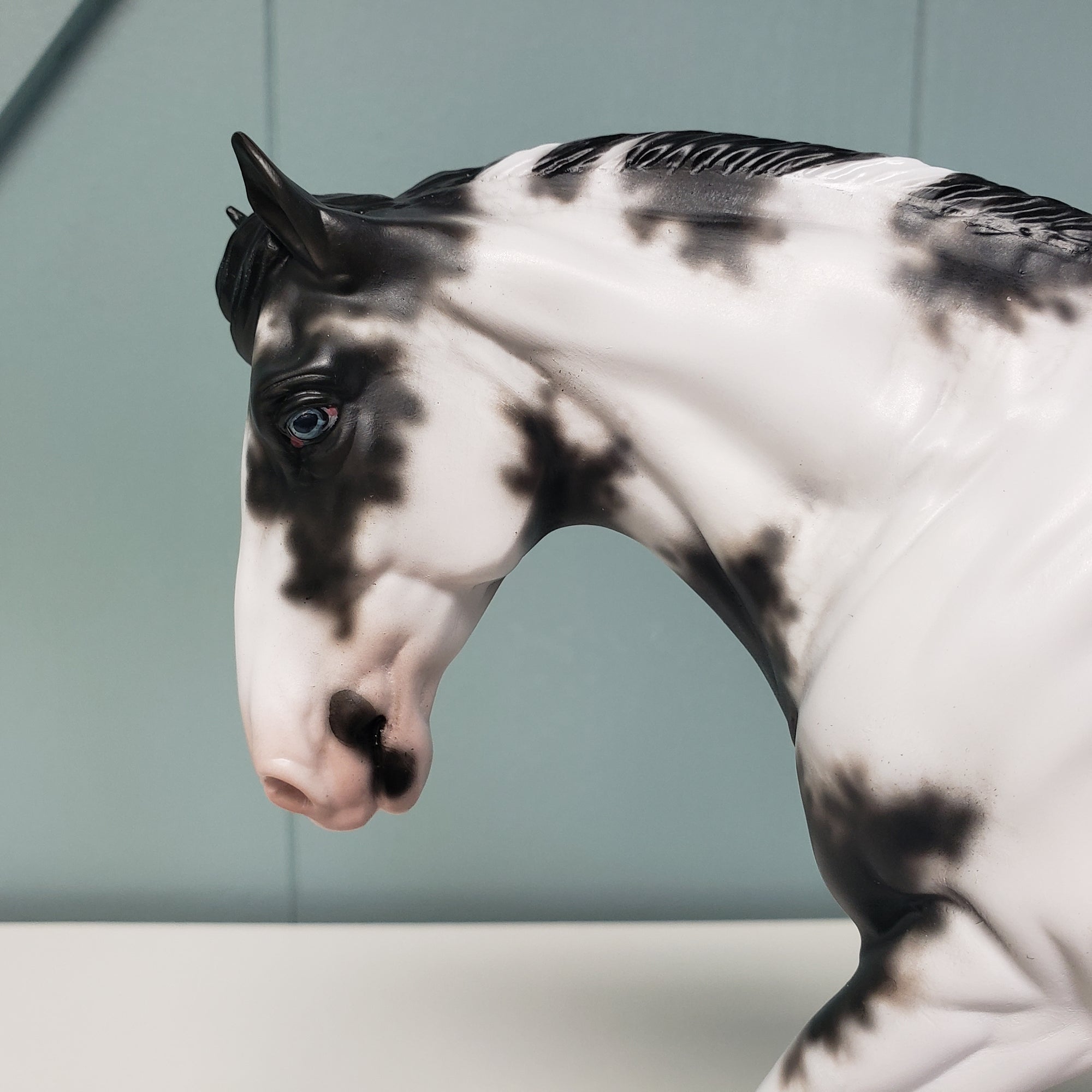 Opulent OOAK Black Sabino Cob By Sheryl Leisure Best Offers 2/5/24