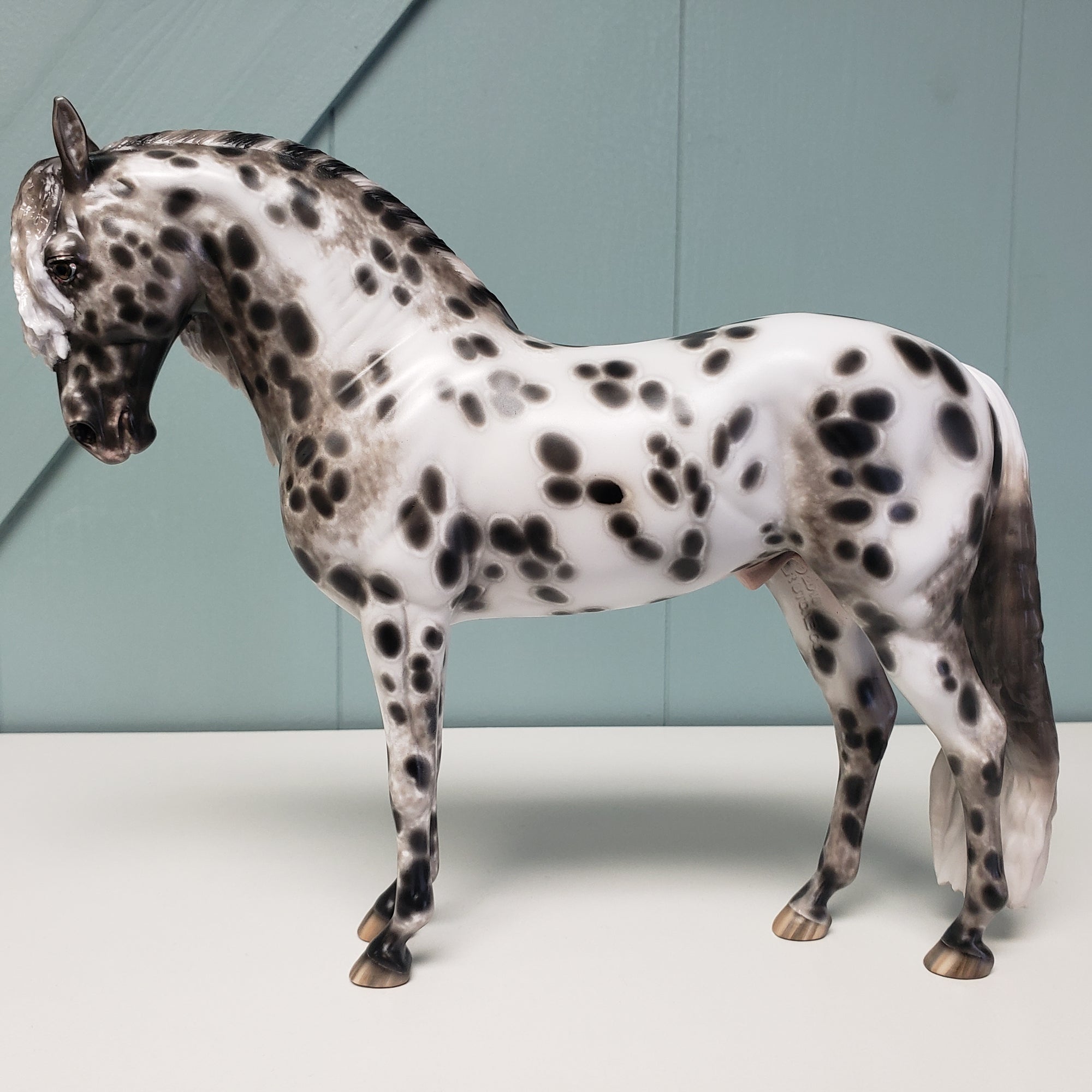 Majestic OOAK Appaloosa Andalusian By Sheryl Leisure Best Offers 2/5/24