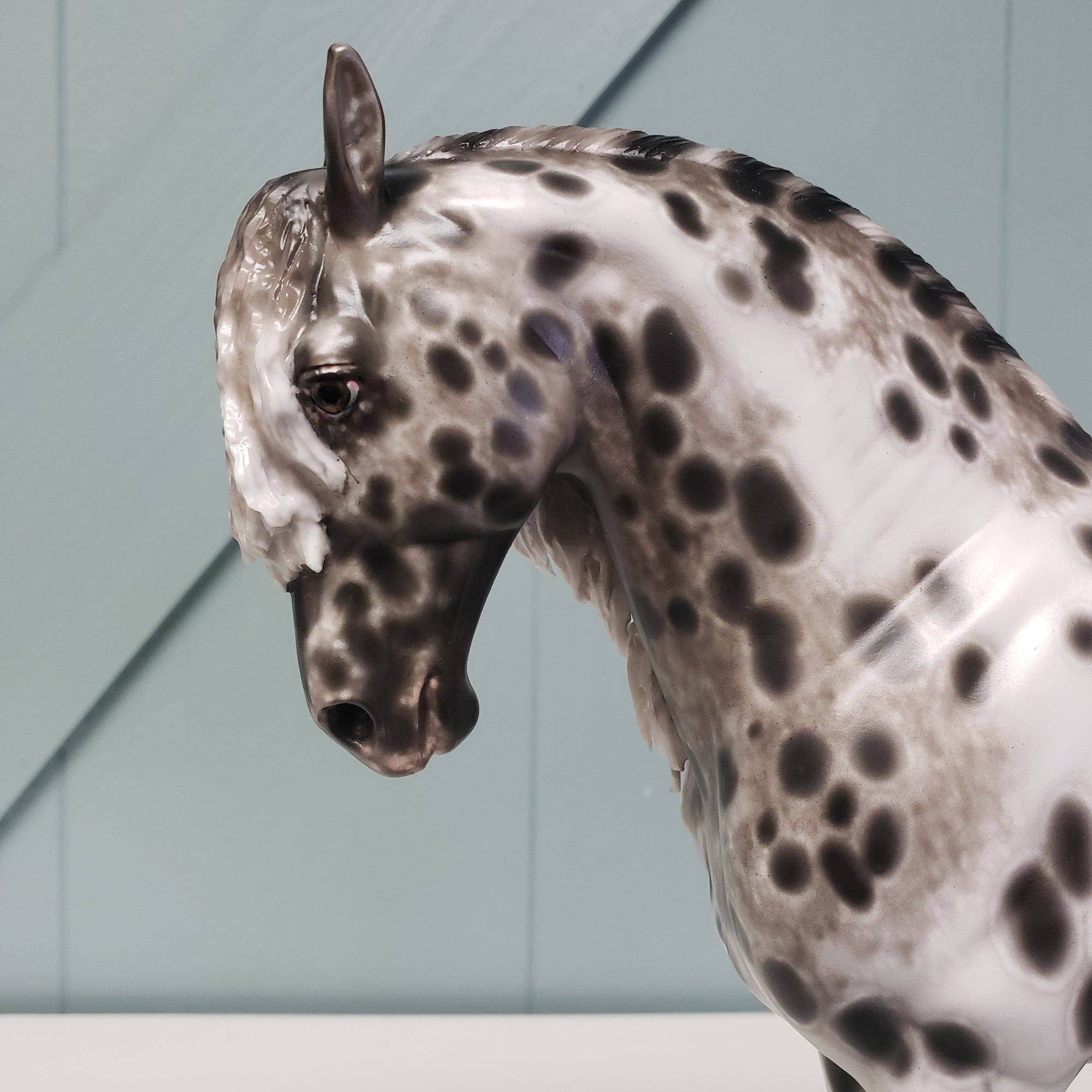 Majestic OOAK Appaloosa Andalusian By Sheryl Leisure Best Offers 2/5/24