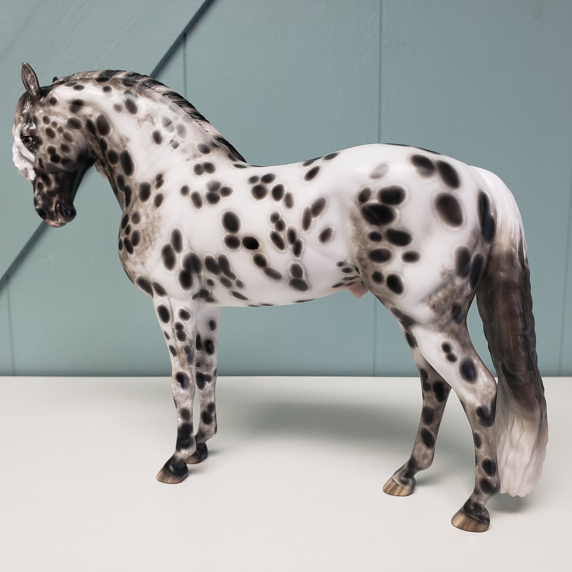 Majestic OOAK Appaloosa Andalusian By Sheryl Leisure Best Offers 2/5/24