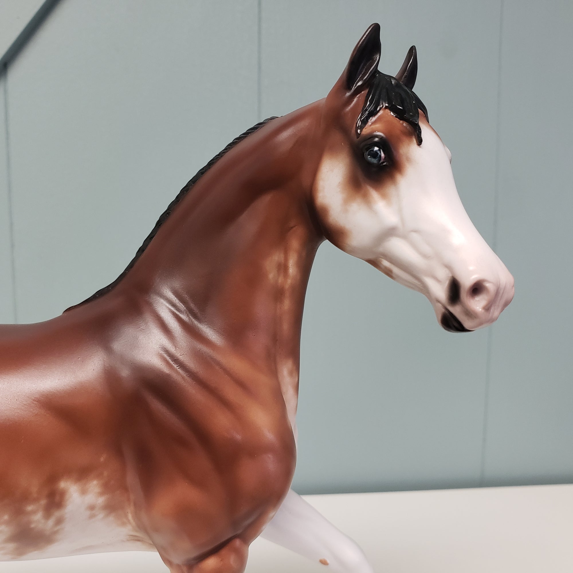 Aureate OOAK Bay Sabino Arab Mare By Sheryl Leisure Best Offers 2/5/24