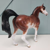 Aureate OOAK Bay Sabino Arab Mare By Sheryl Leisure Best Offers 2/5/24